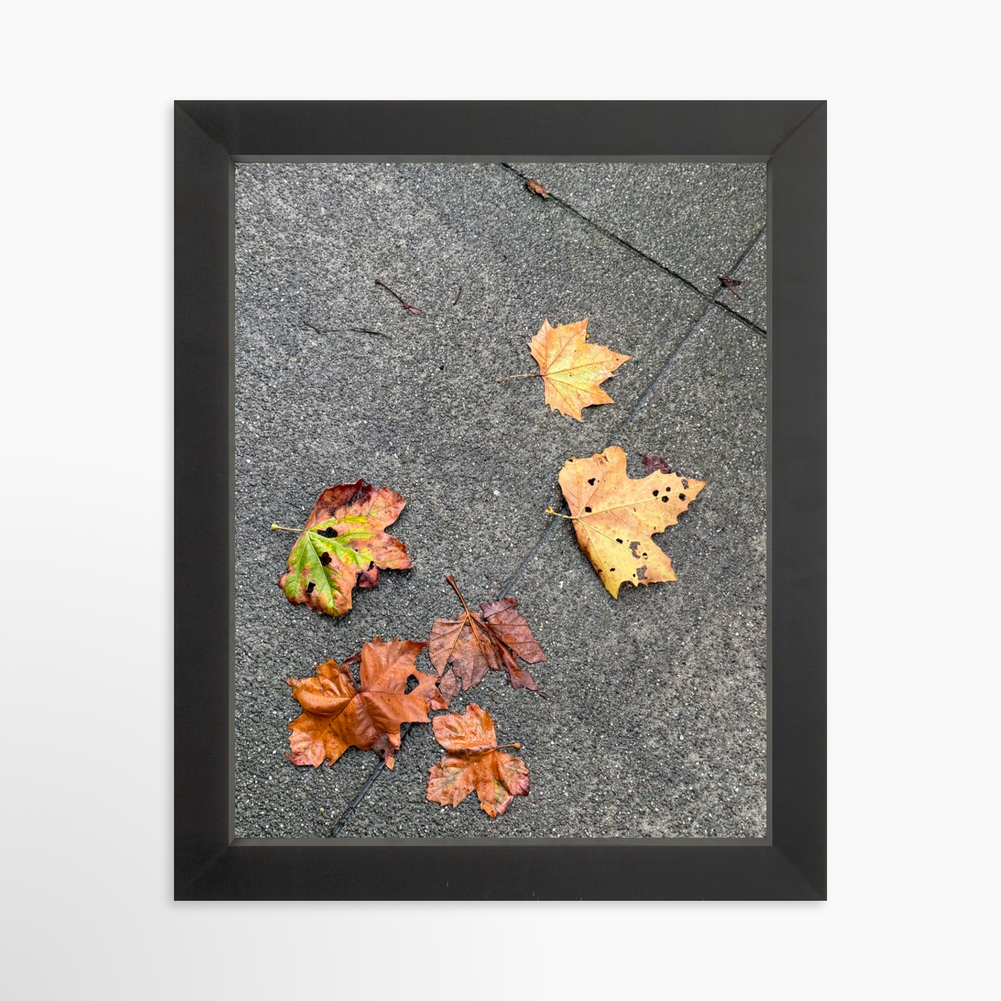8" x  10" / Black / No Mat