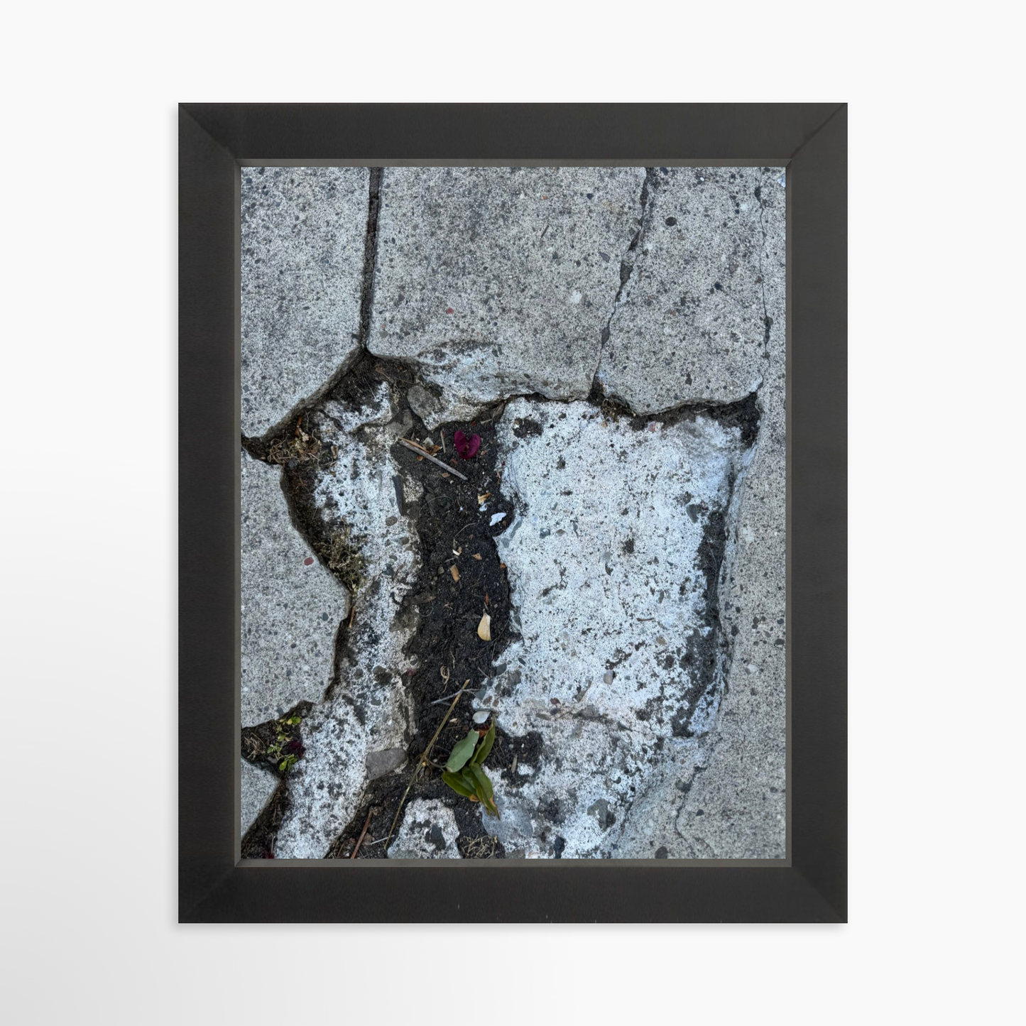 8" x  10" / Black / No Mat