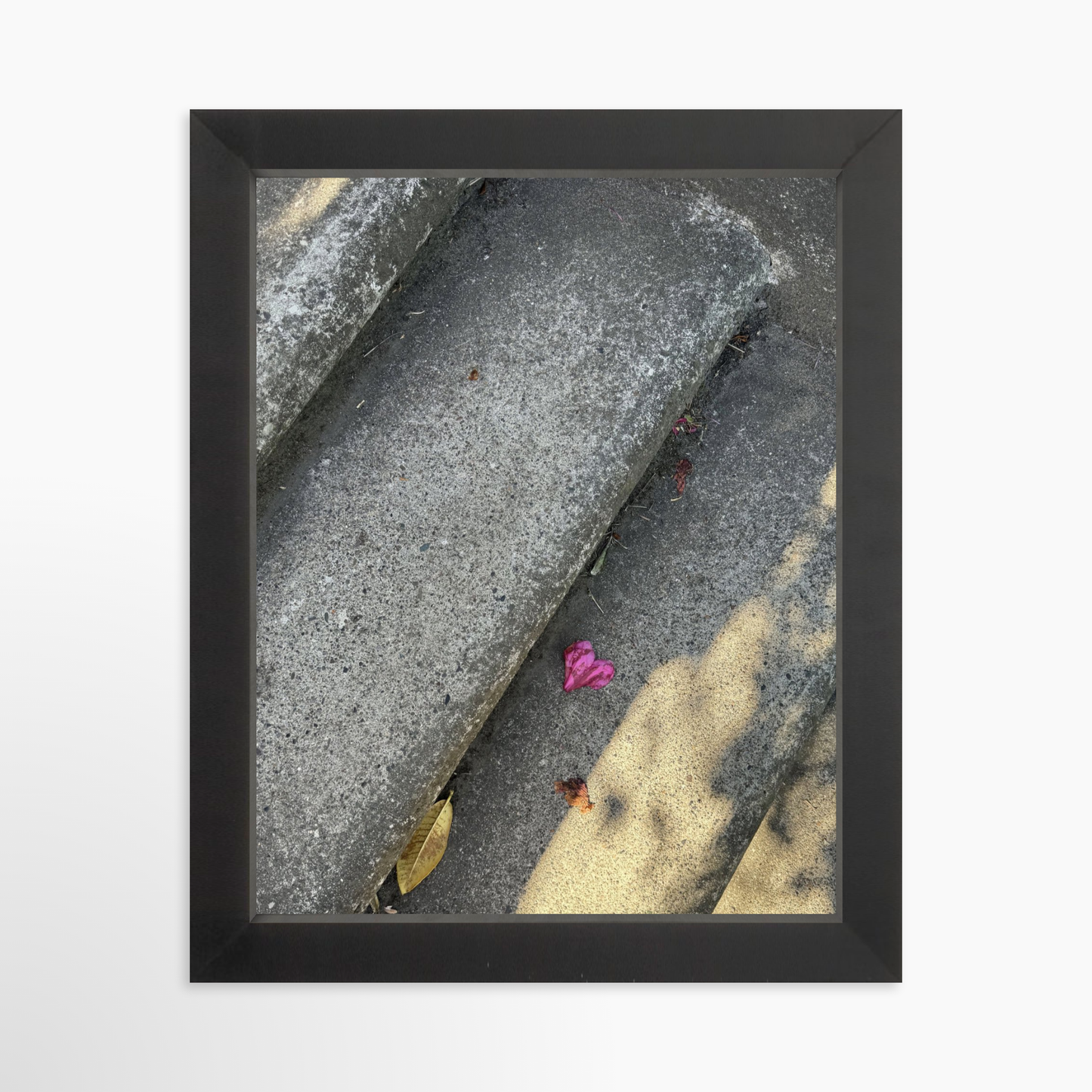 8" x  10" / Black / No Mat