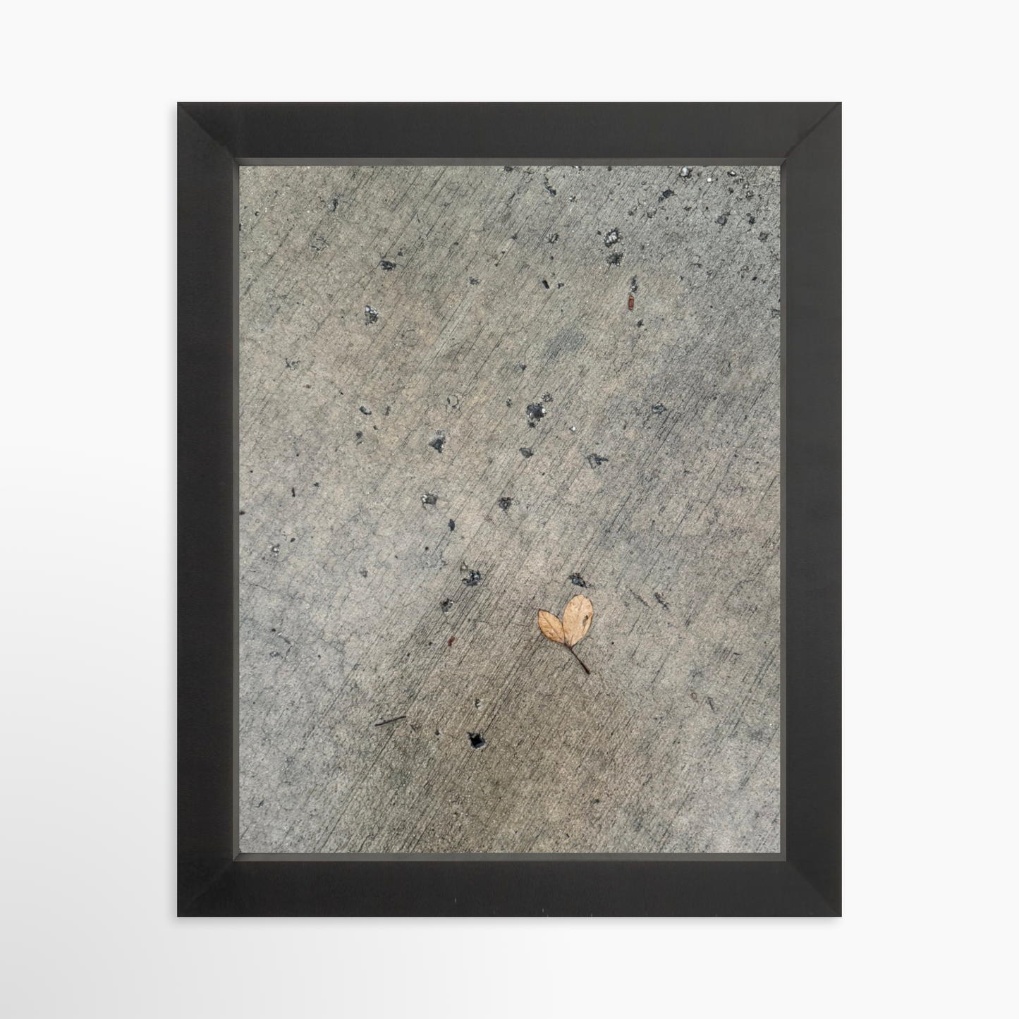 8" x  10" / Black / No Mat