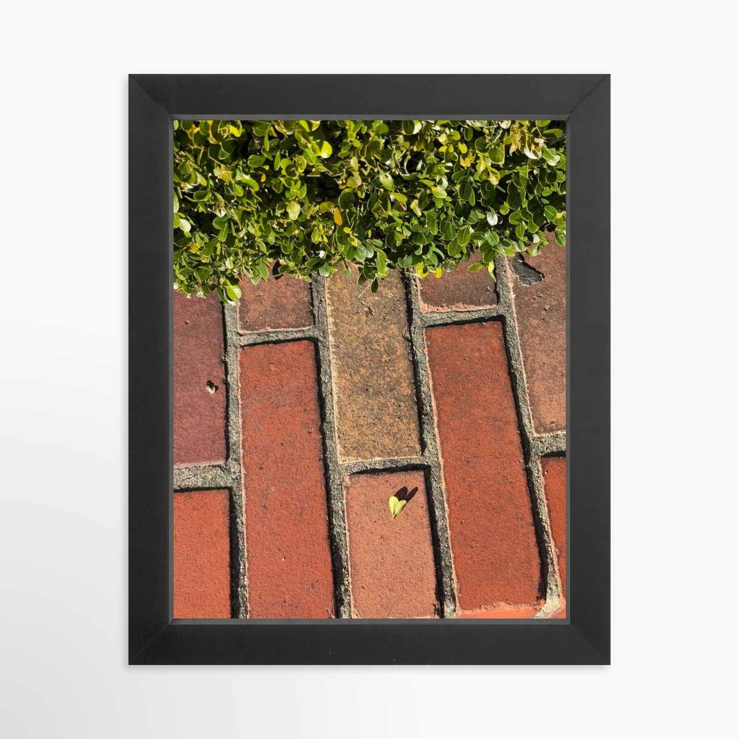 8" x  10" / Black / No Mat
