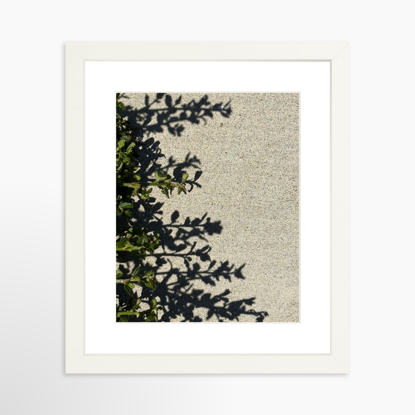 8" x  10" / White / Mat