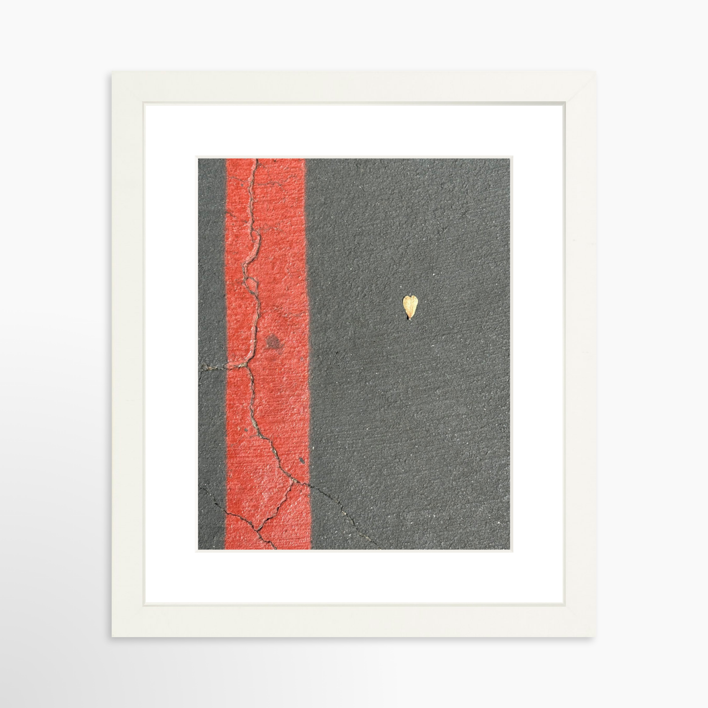 8" x  10" / White / Mat