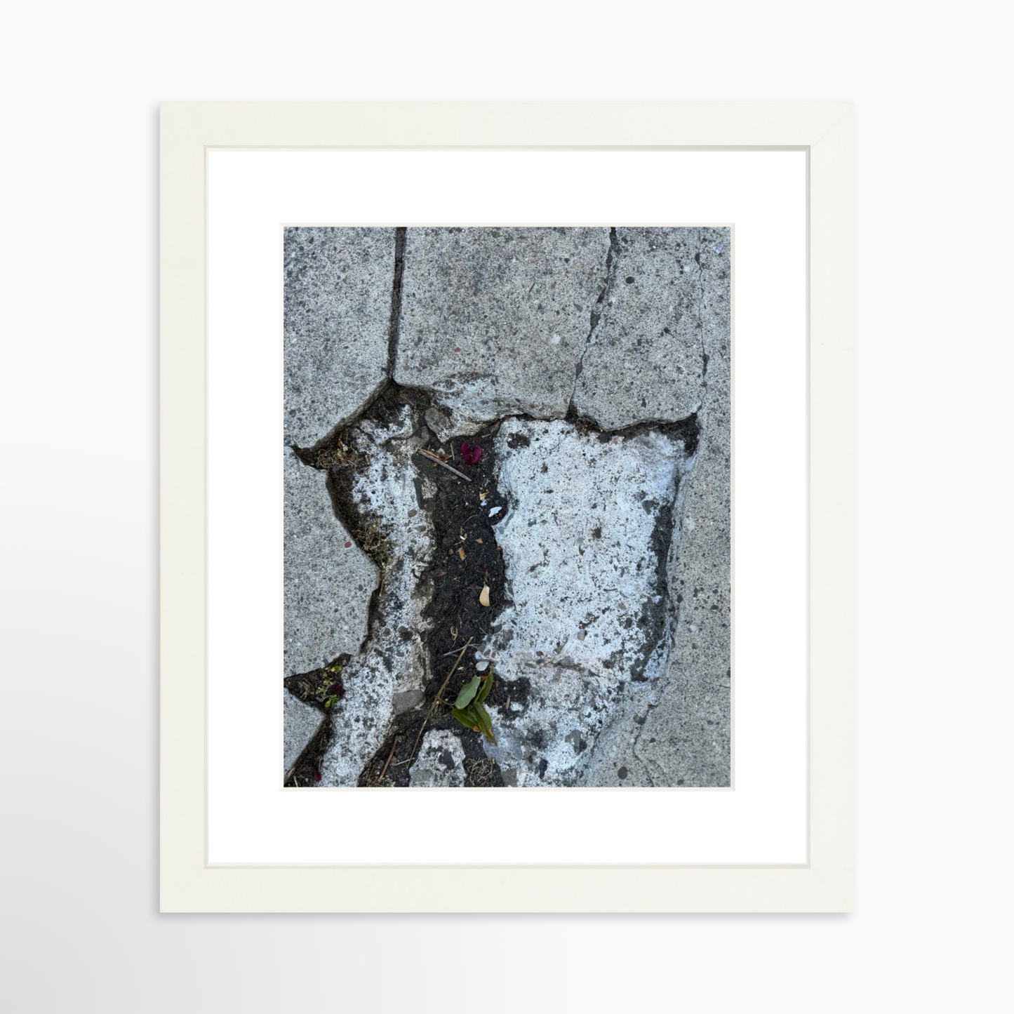 8" x  10" / White / Mat