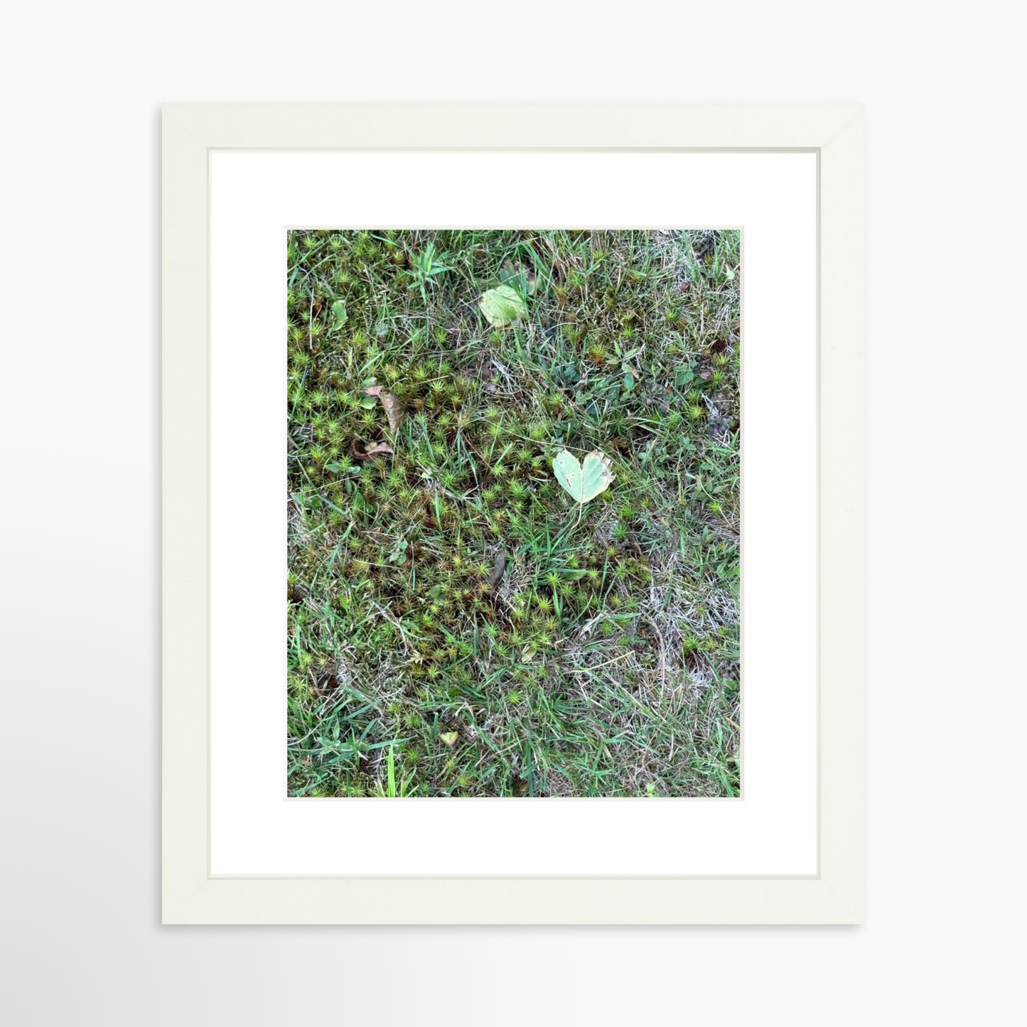 8" x  10" / White / Mat