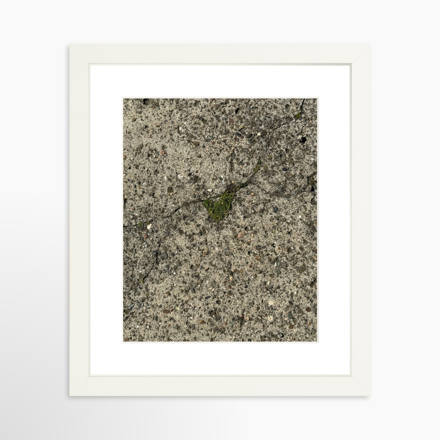 8" x  10" / White / Mat