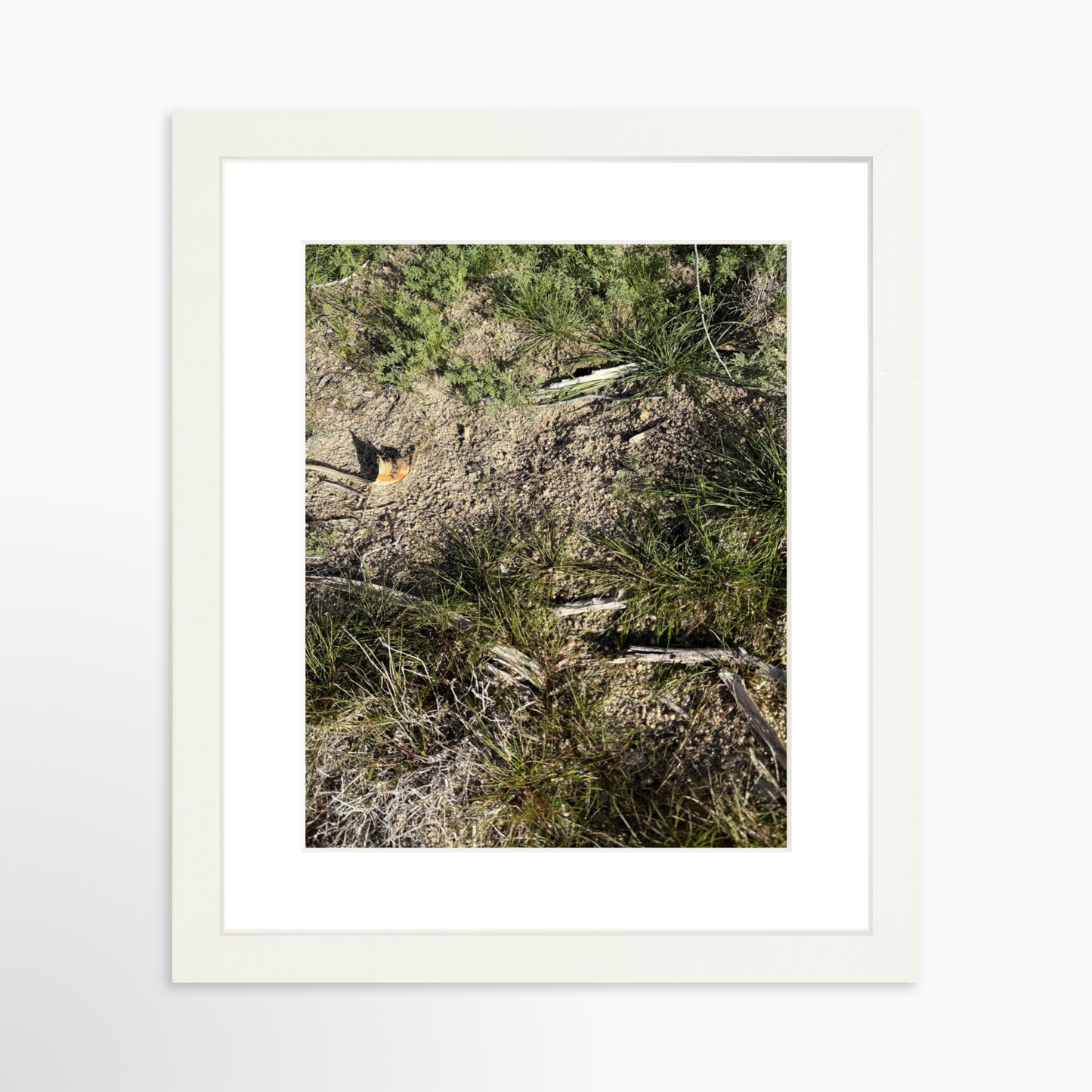 8" x  10" / White / Mat