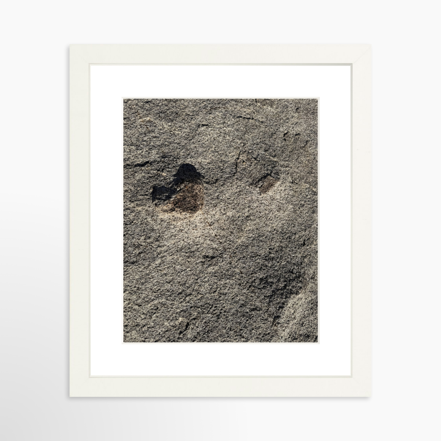 8" x  10" / White / Mat