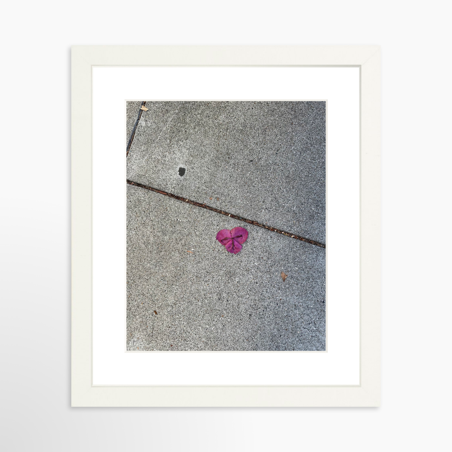 8" x  10" / White / Mat