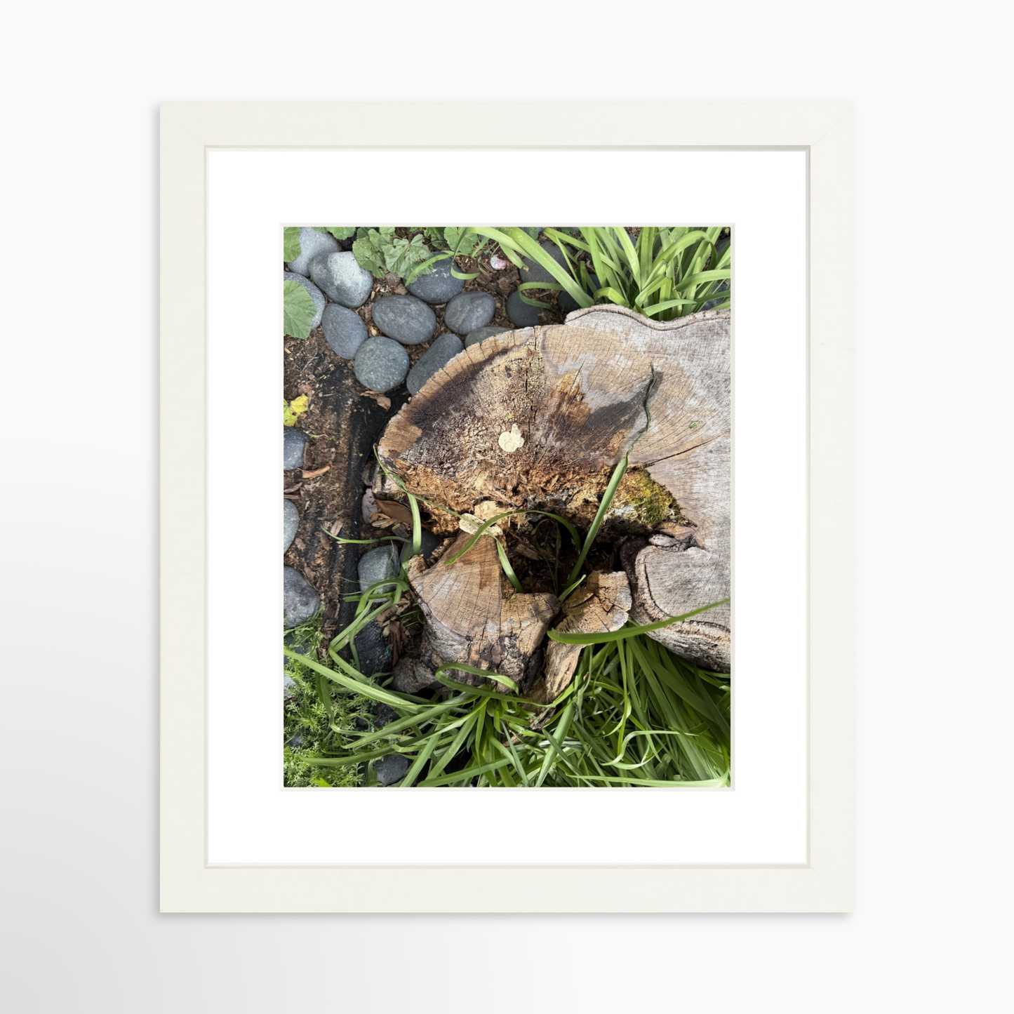 8" x  10" / White / Mat