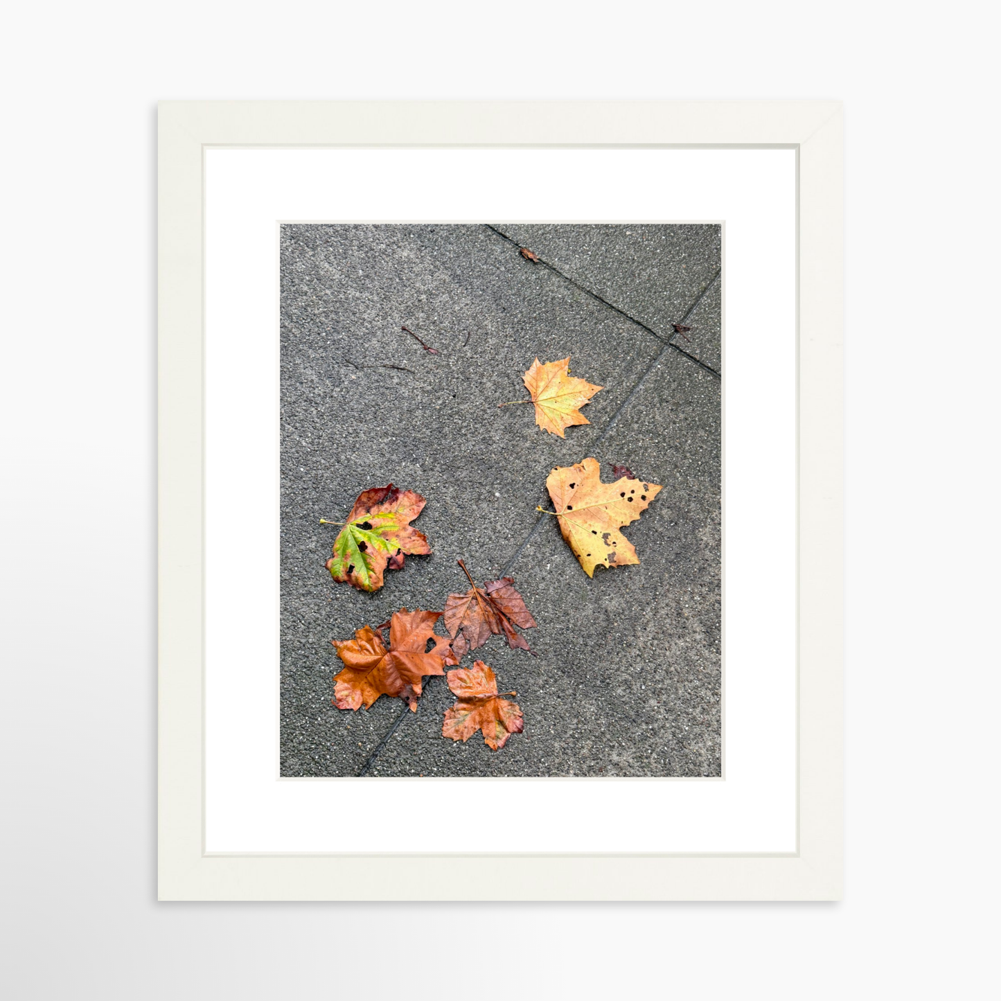 8" x  10" / White / Mat