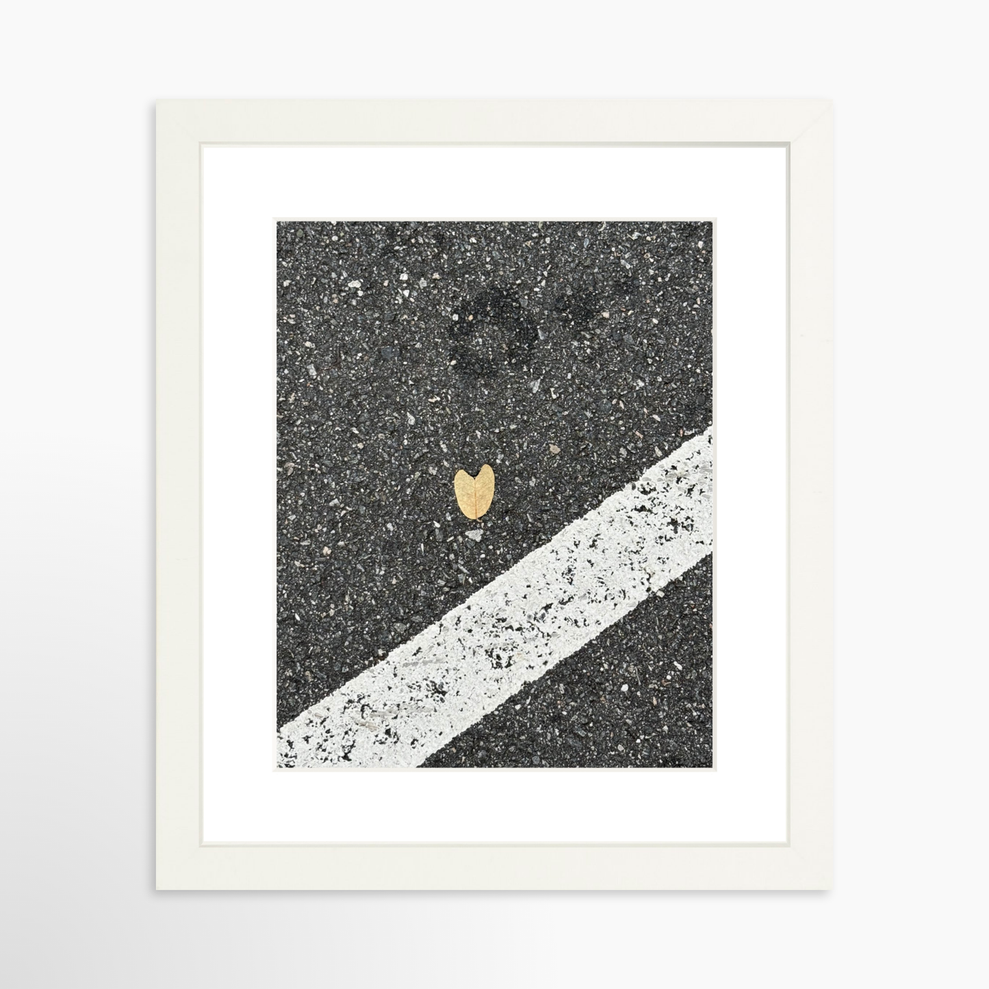 8" x  10" / White / Mat