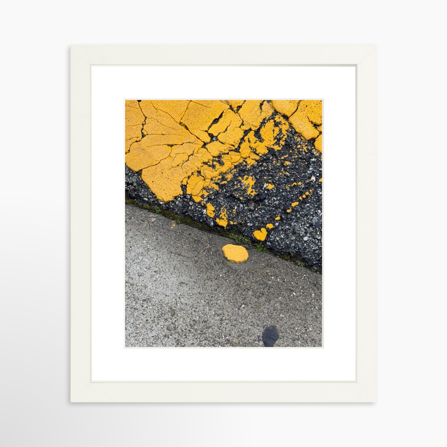8" x  10" / White / Mat