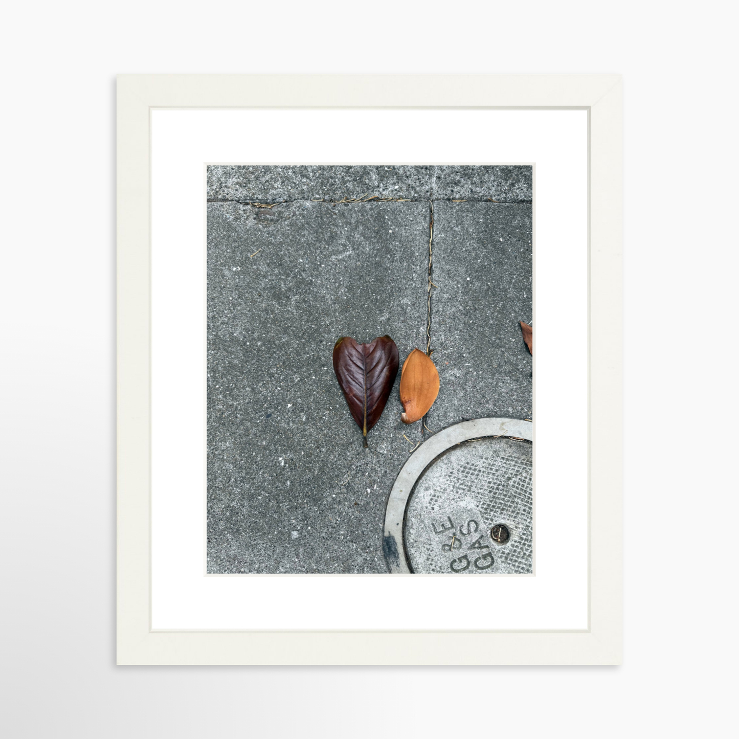 8" x  10" / White / Mat