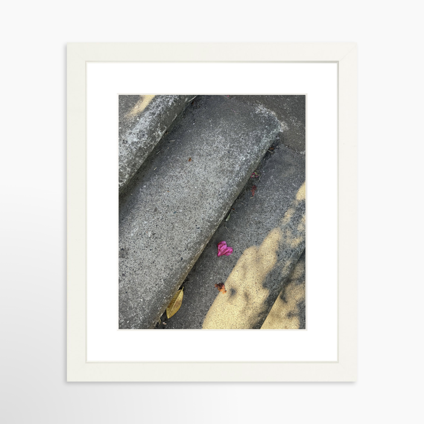 8" x  10" / White / Mat
