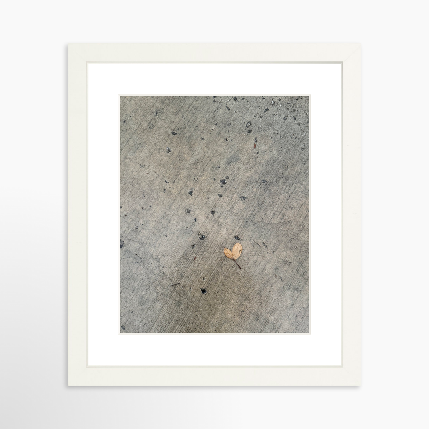 8" x  10" / White / Mat