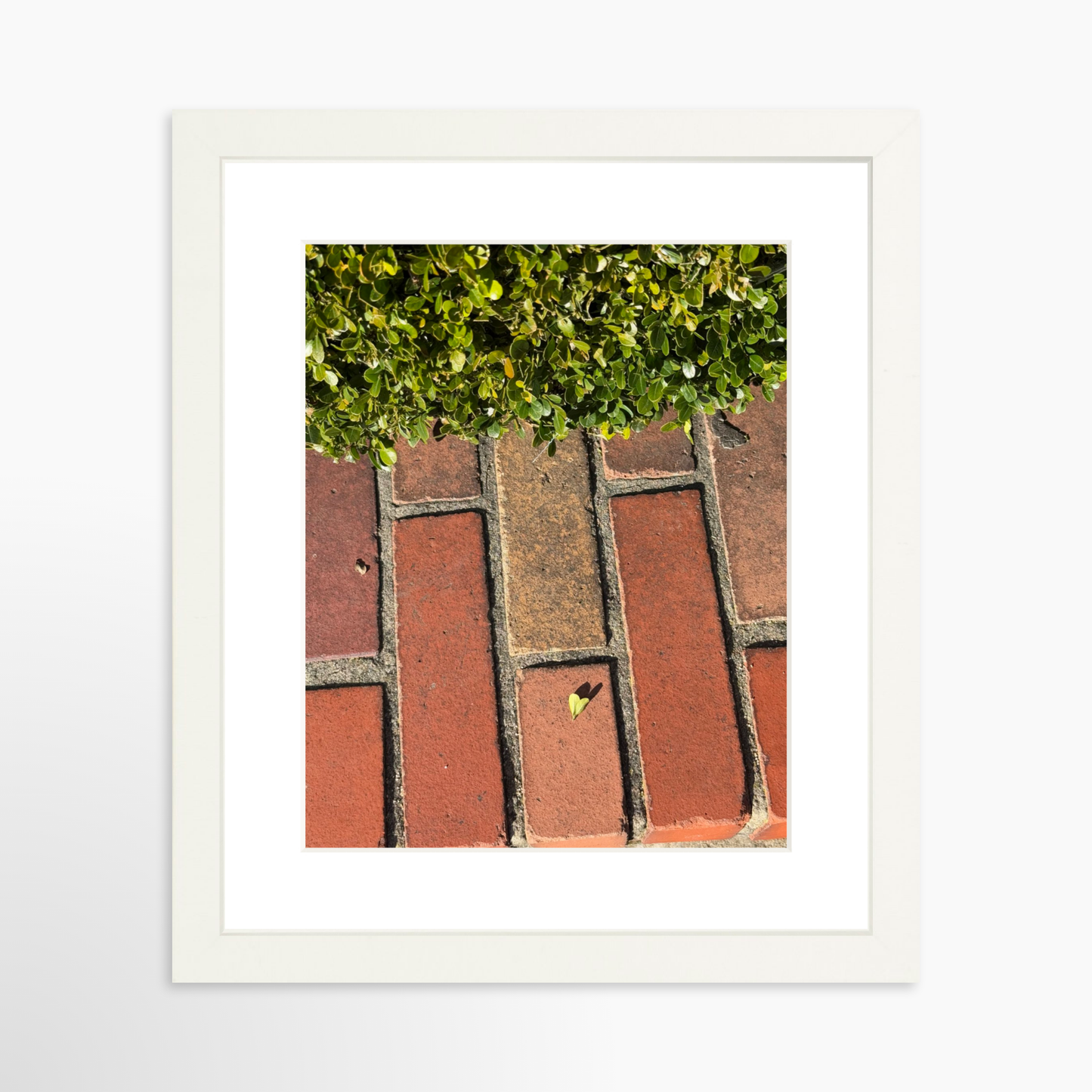 8" x  10" / White / Mat