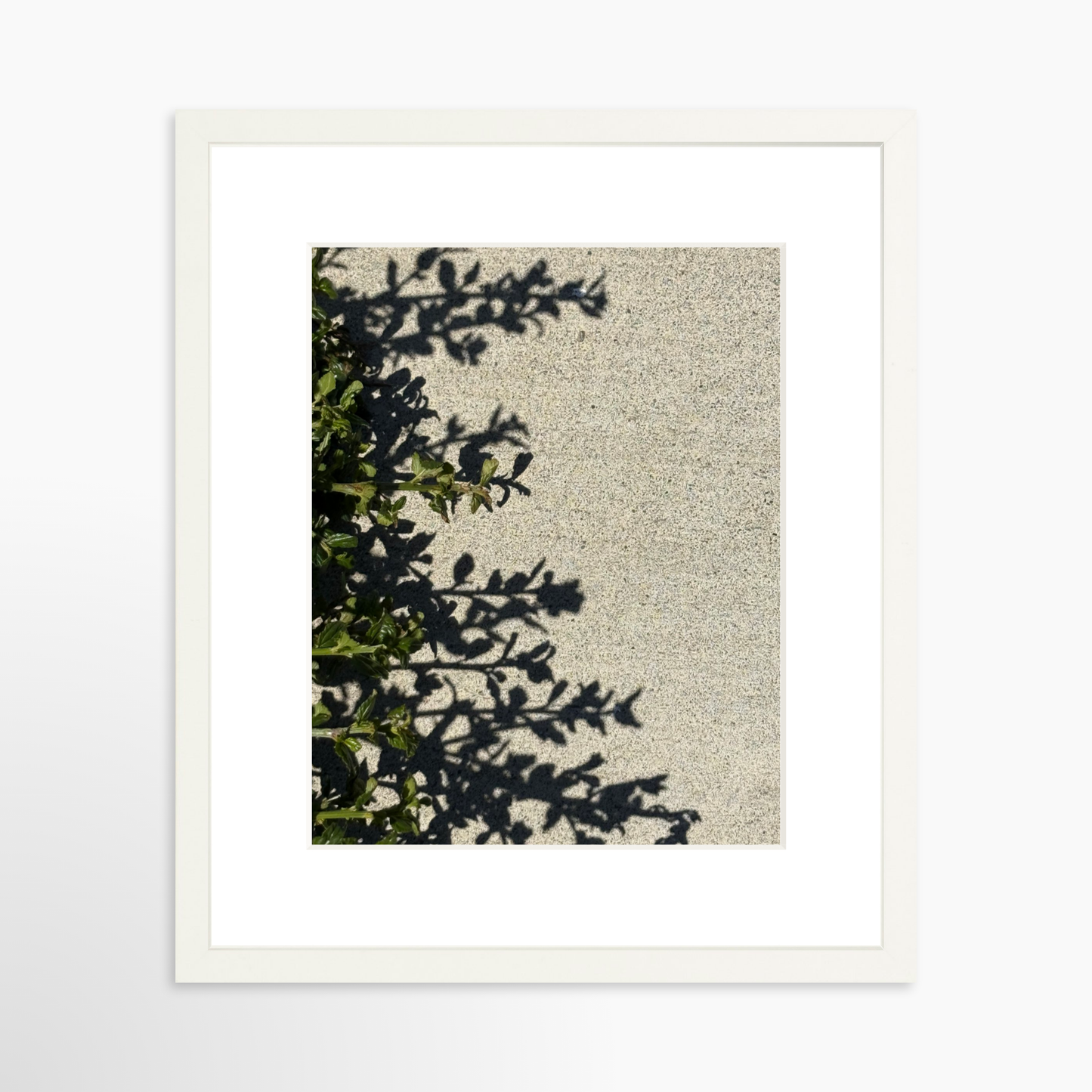 11" x 14" / White / Mat