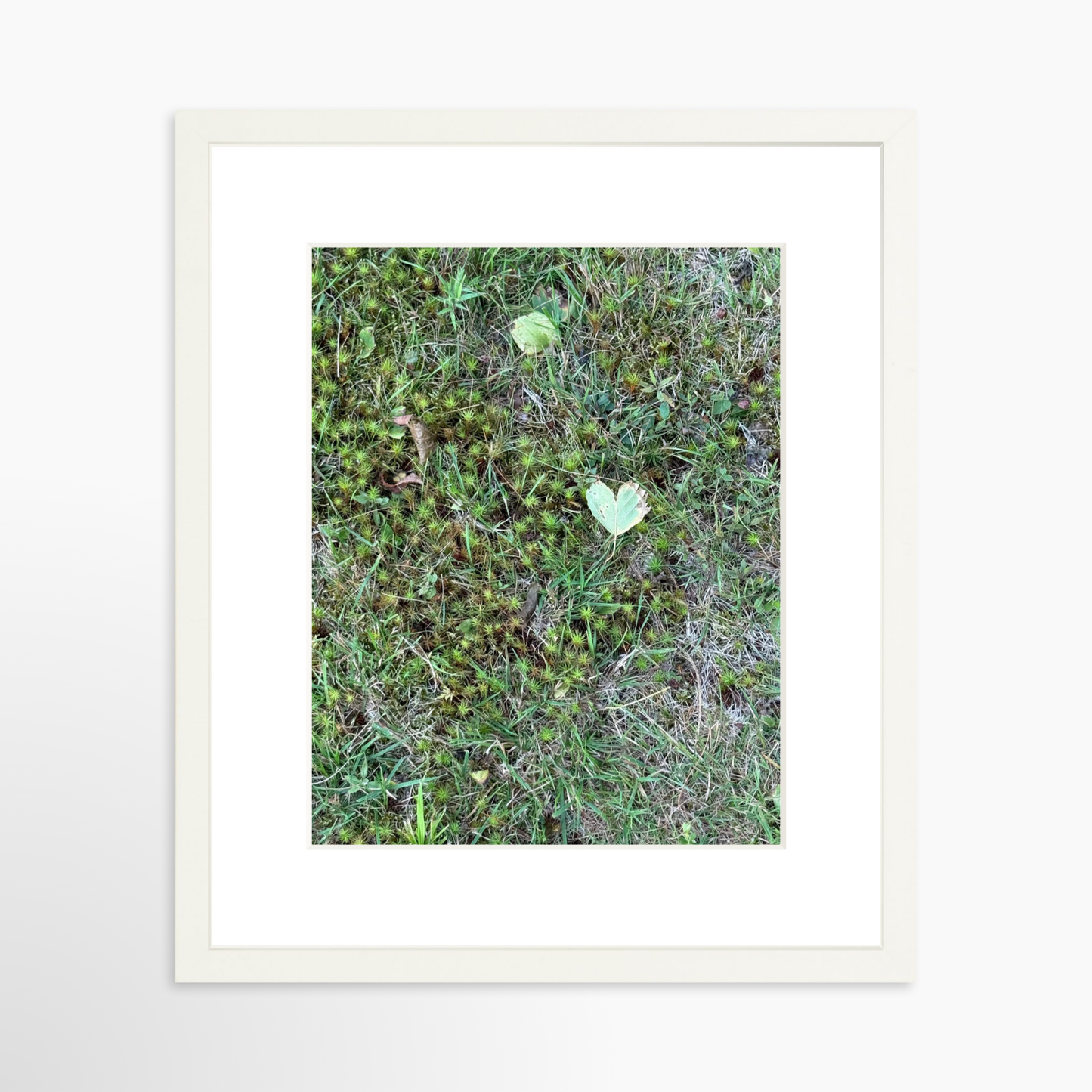 11" x 14" / White / Mat