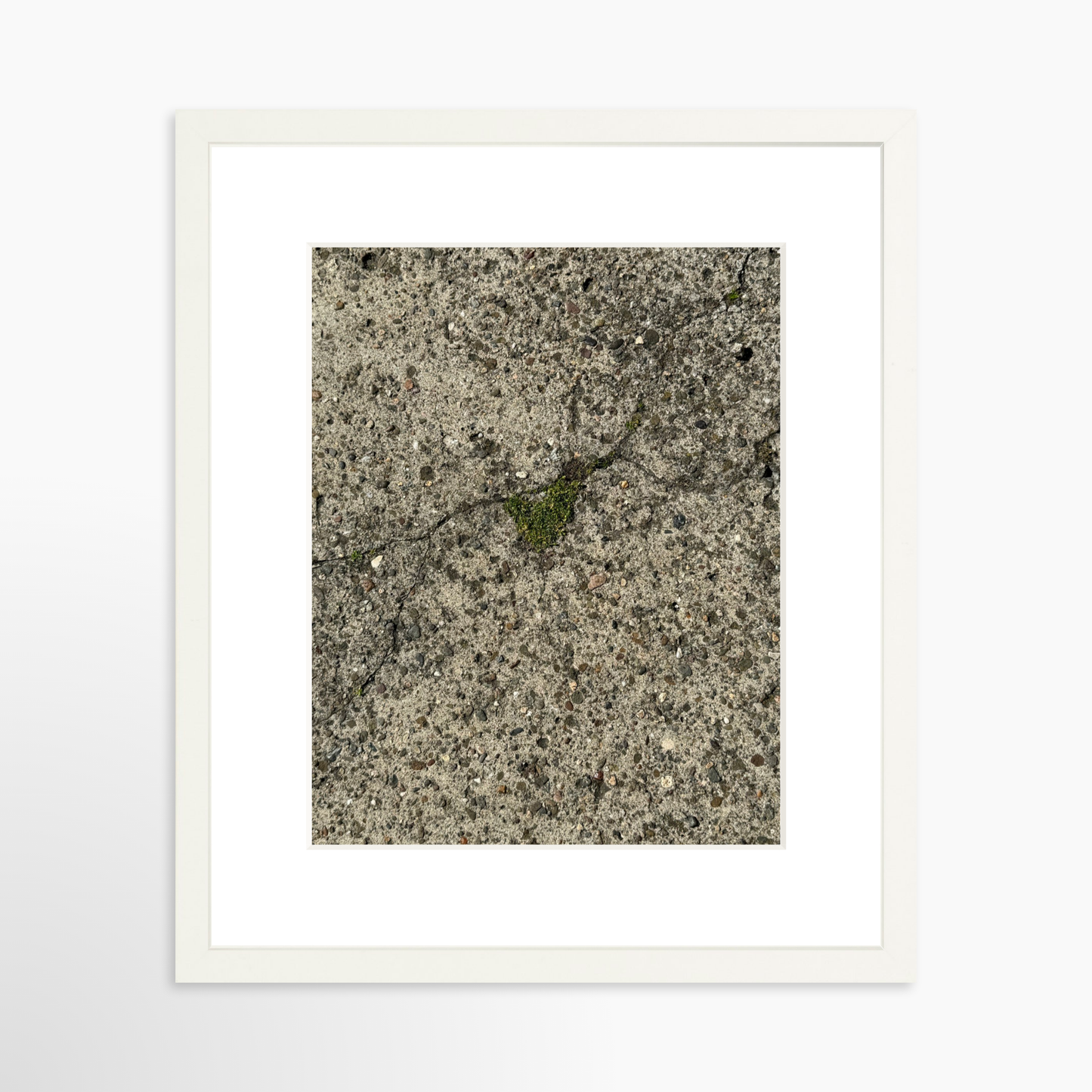 11" x 14" / White / Mat