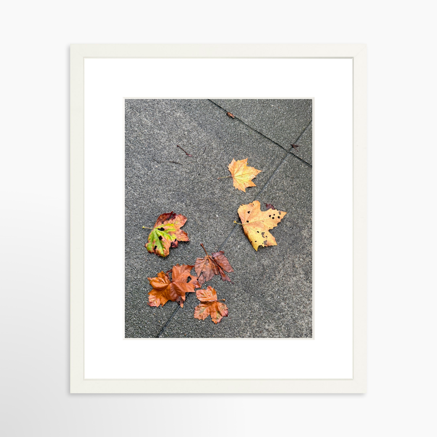 11" x 14" / White / Mat
