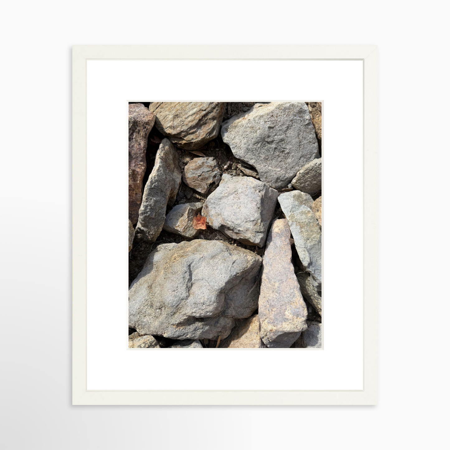 11" x 14" / White / Mat