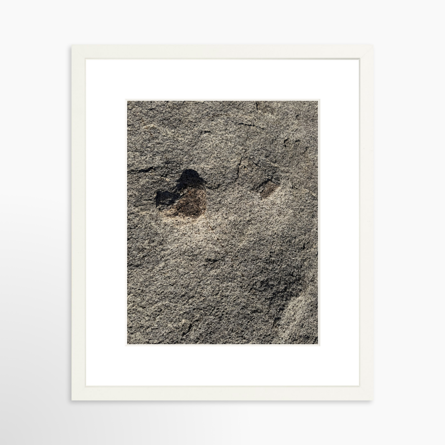 11" x 14" / White / Mat
