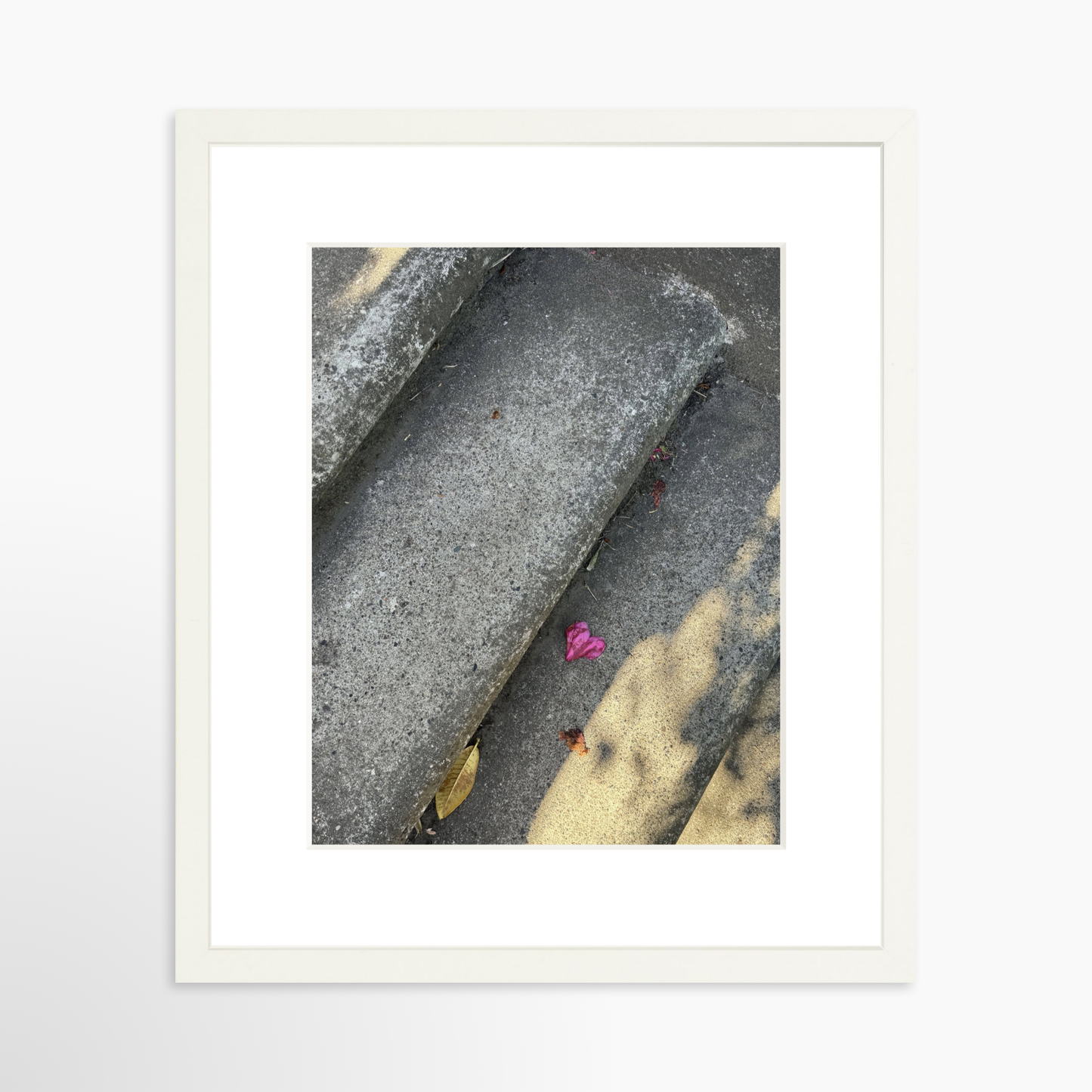11" x 14" / White / Mat