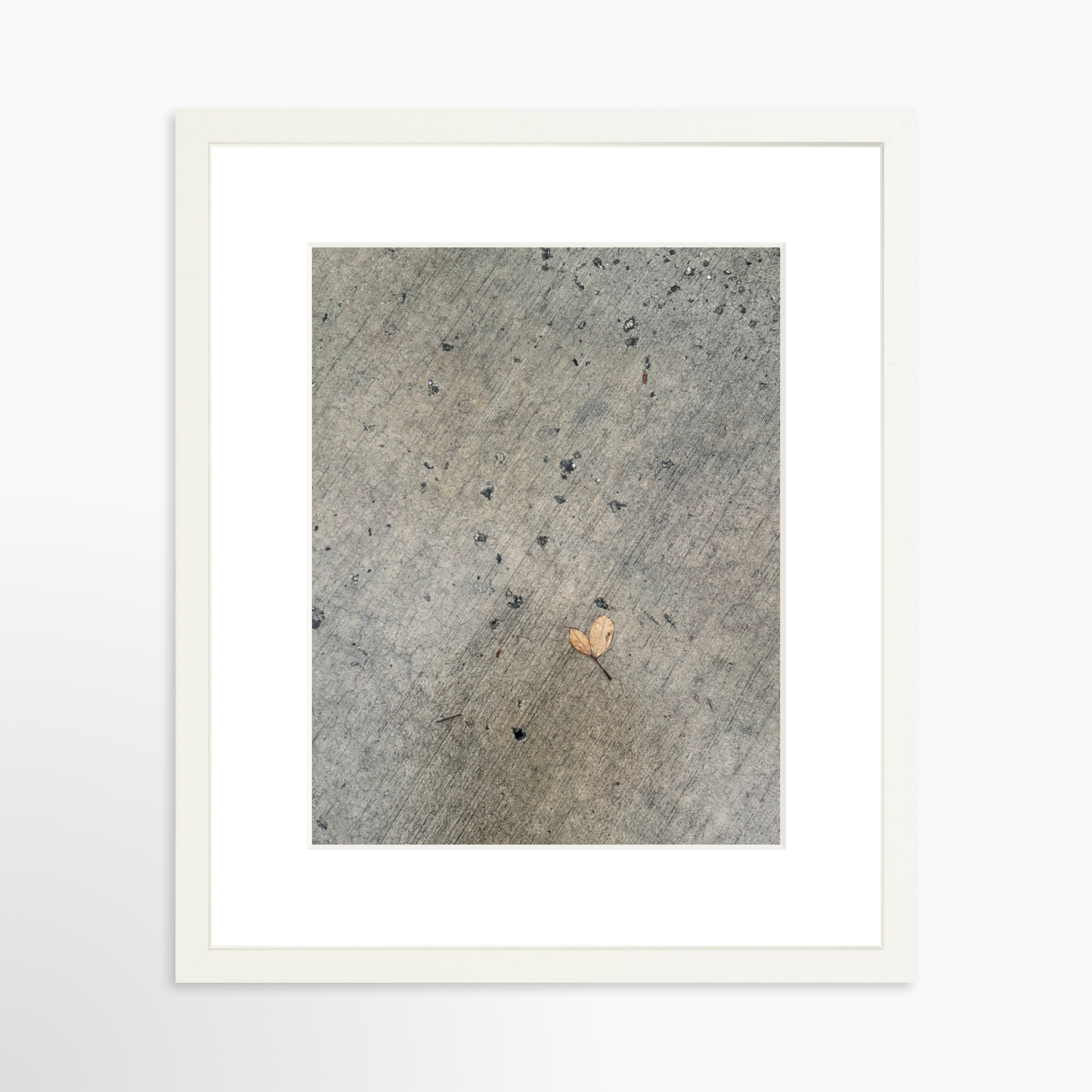 11" x 14" / White / Mat