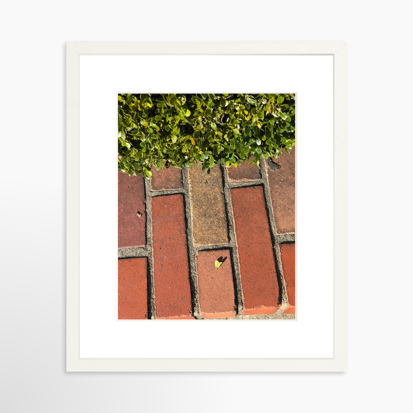 11" x 14" / White / Mat