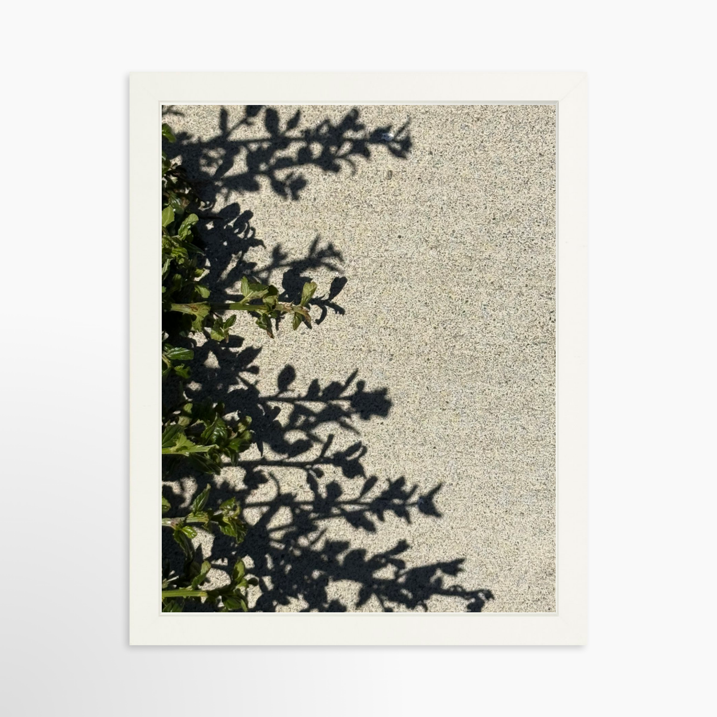 11" x 14" / White / No Mat