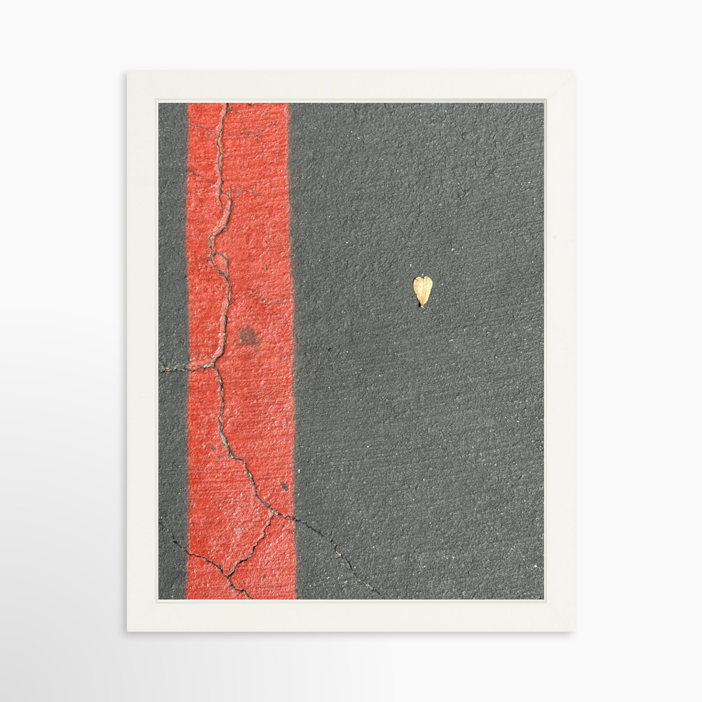 11" x 14" / White / No Mat