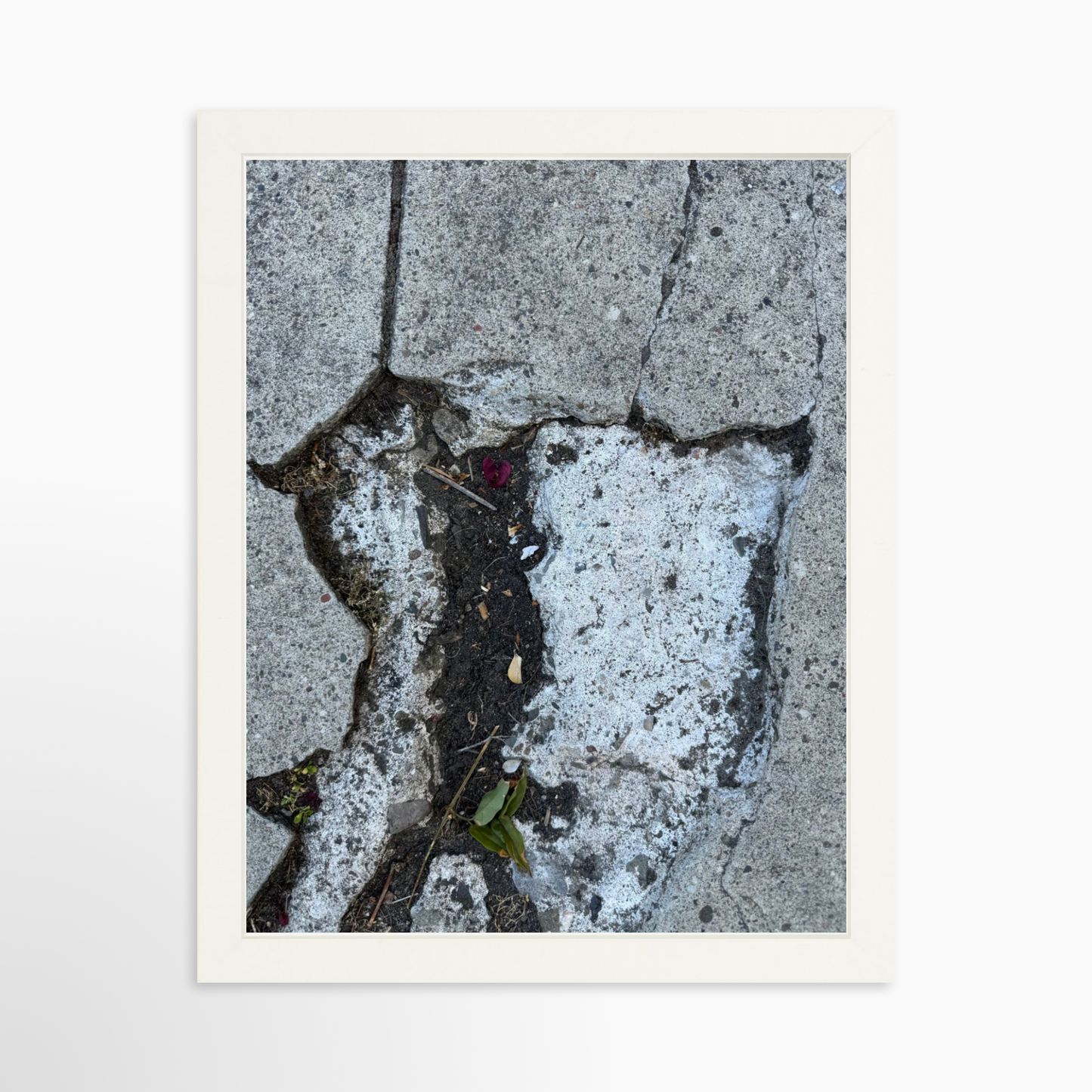 11" x 14" / White / No Mat