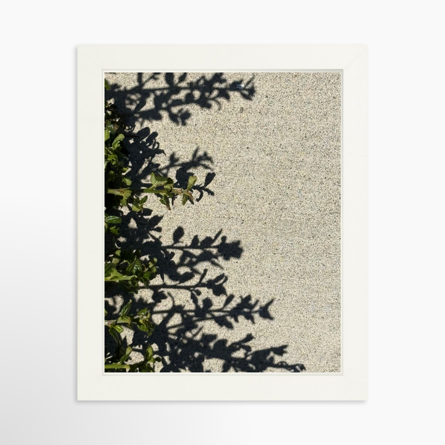 8" x  10" / White / No Mat