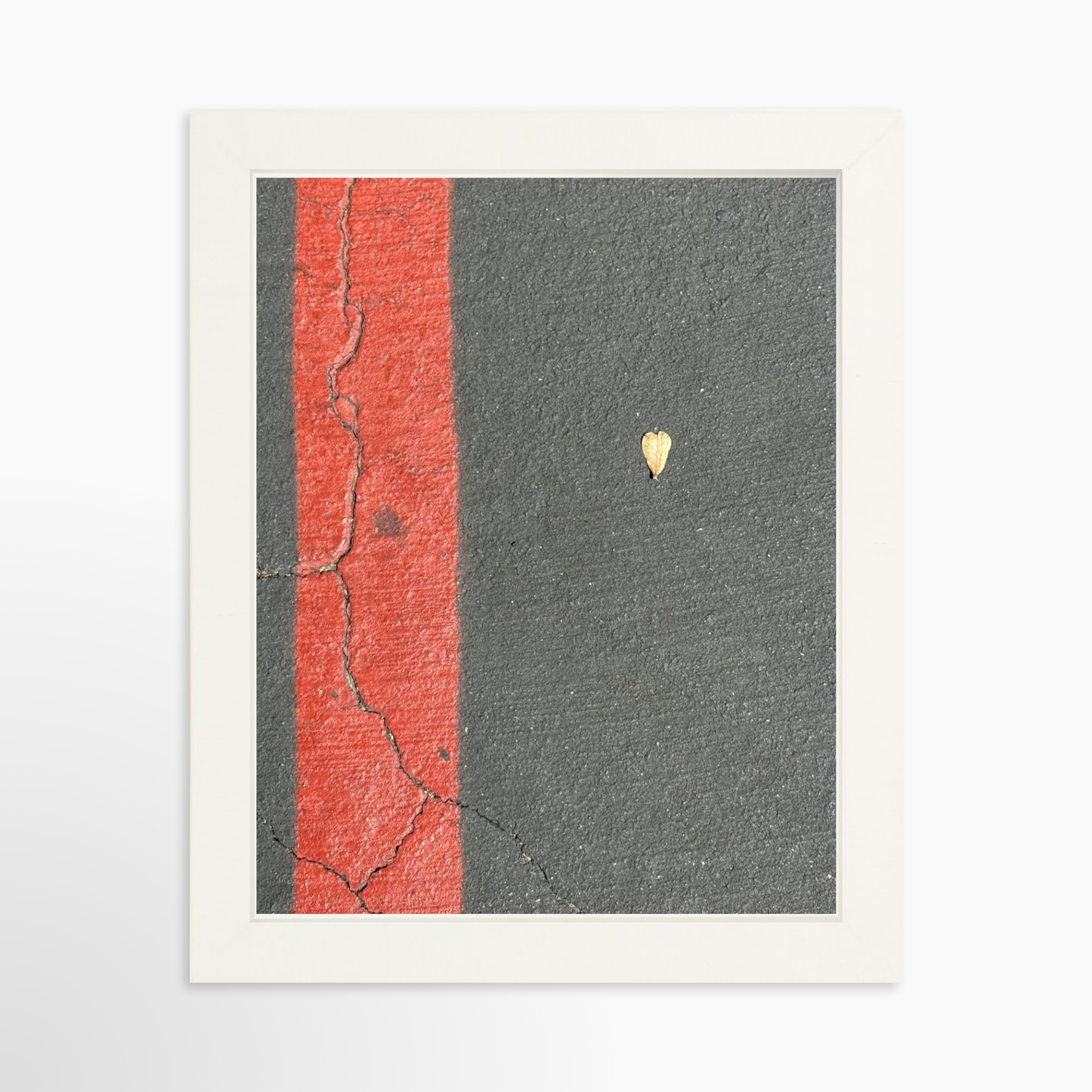8" x  10" / White / No Mat