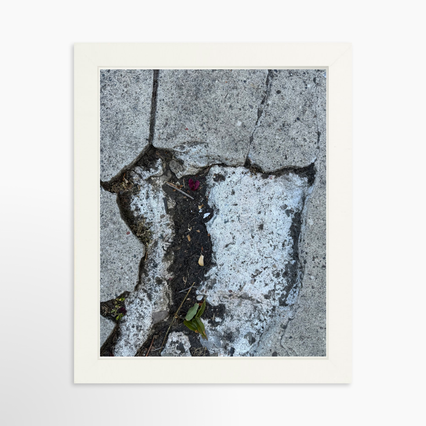 8" x  10" / White / No Mat