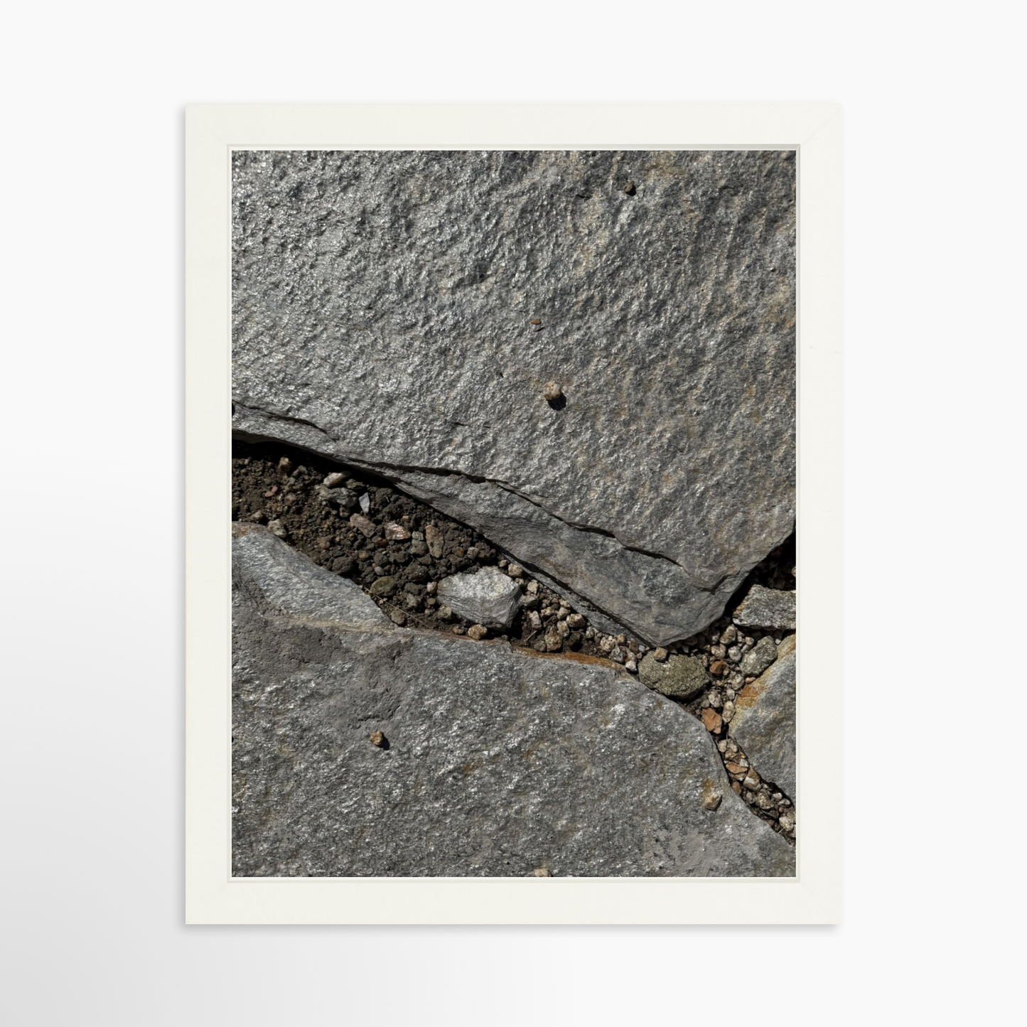 11" x 14" / White / No Mat