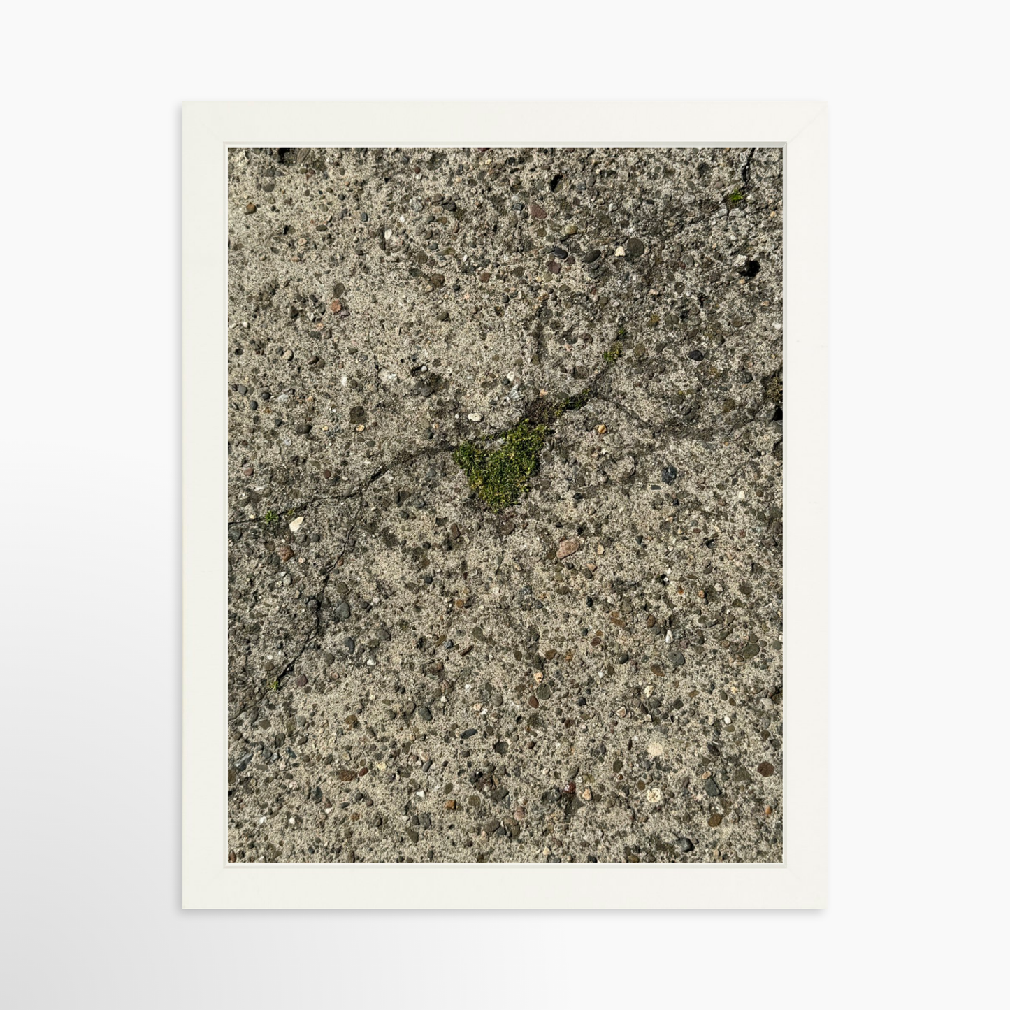 11" x 14" / White / No Mat