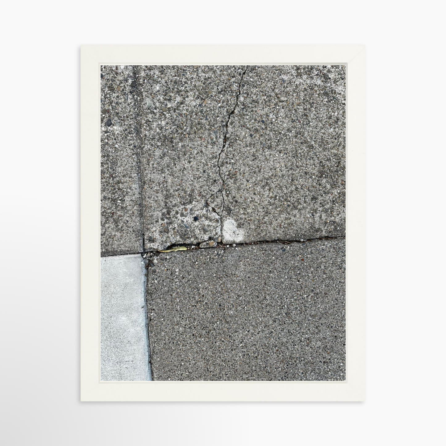 11" x 14" / White / No Mat