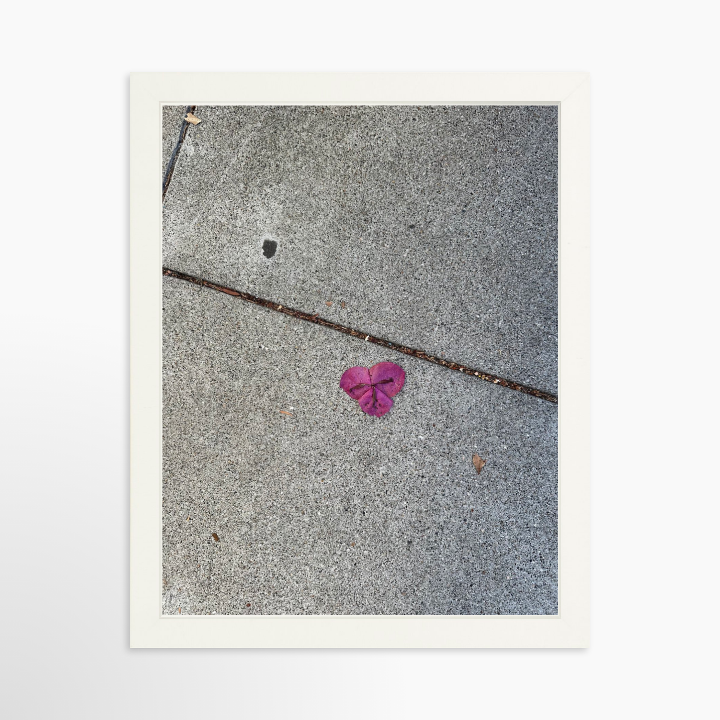 11" x 14" / White / No Mat