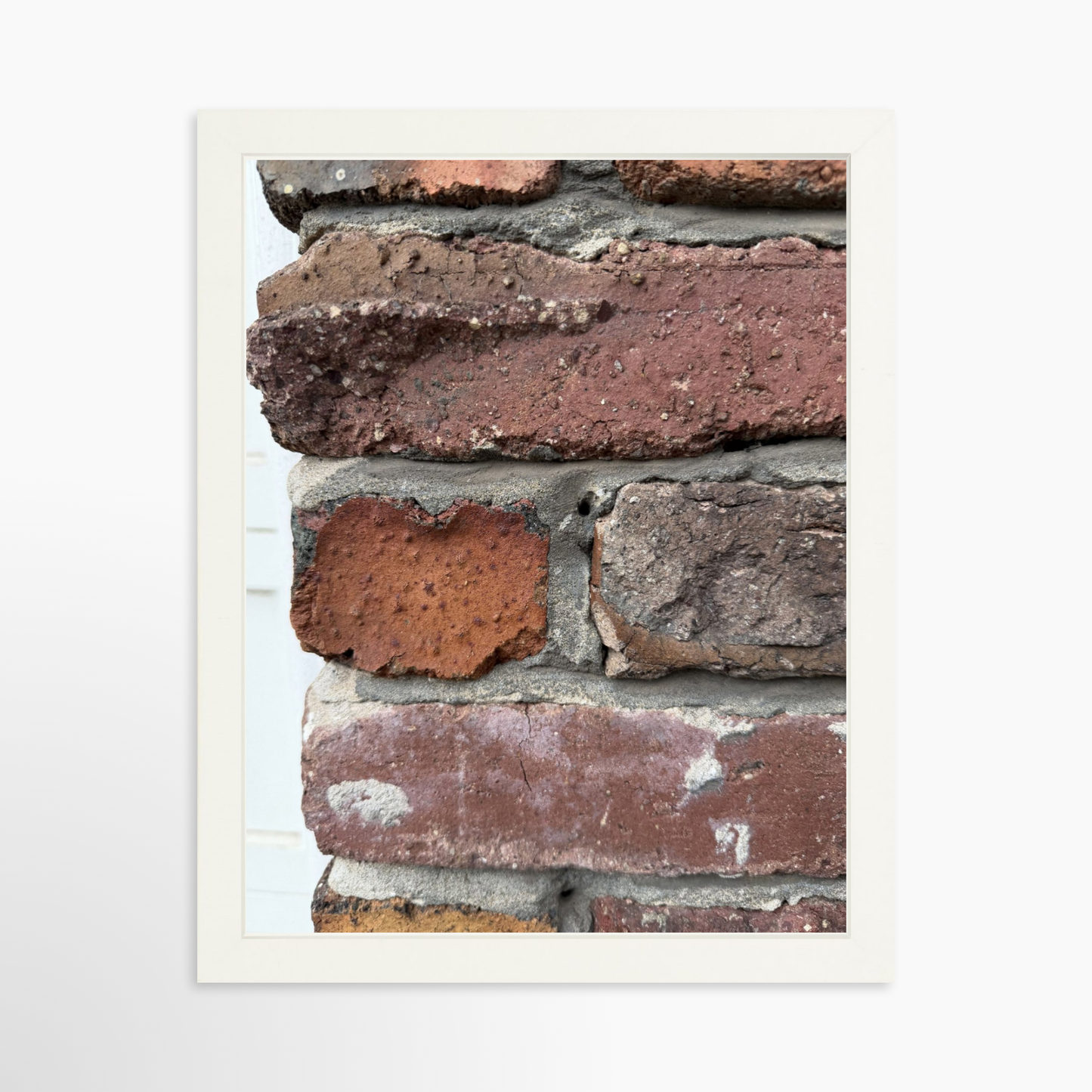 11" x 14" / White / No Mat