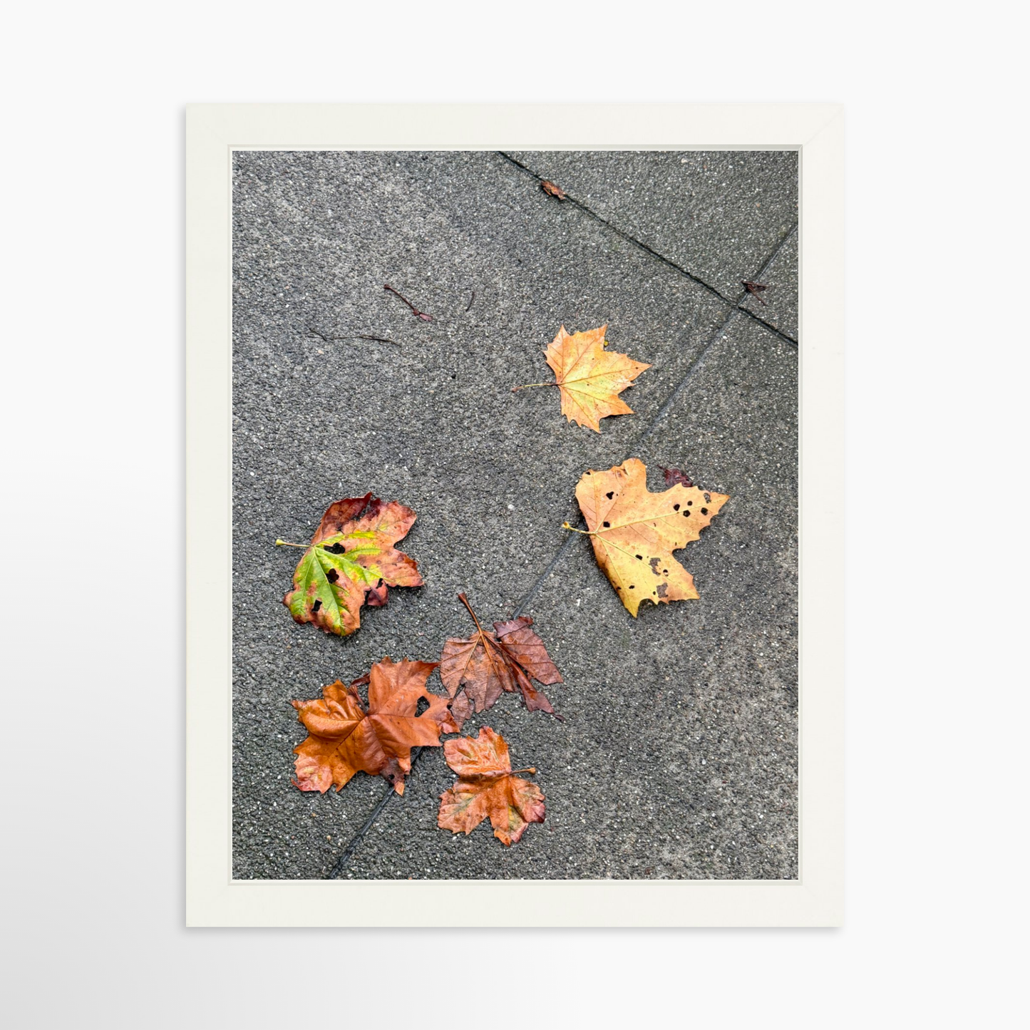 11" x 14" / White / No Mat