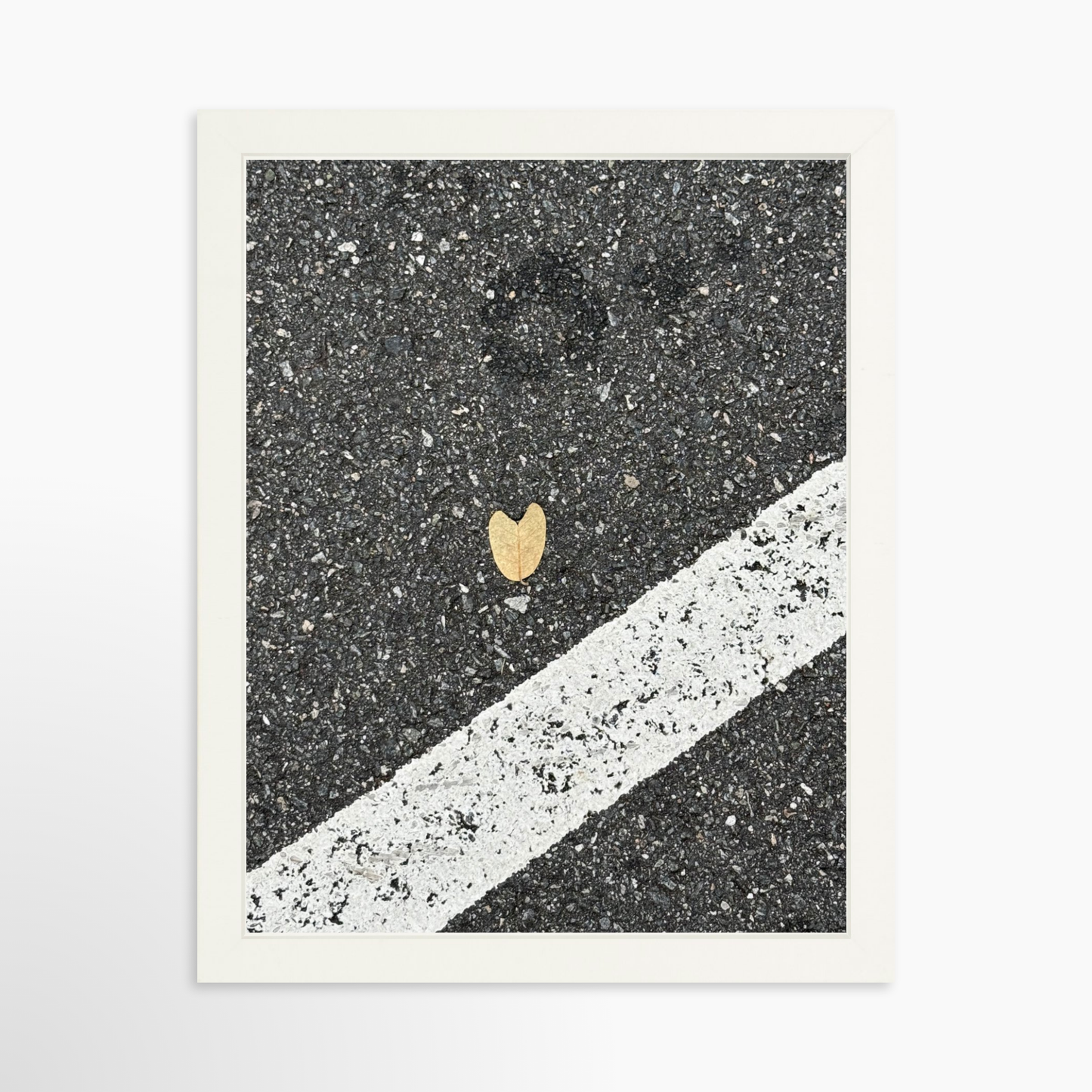 11" x 14" / White / No Mat