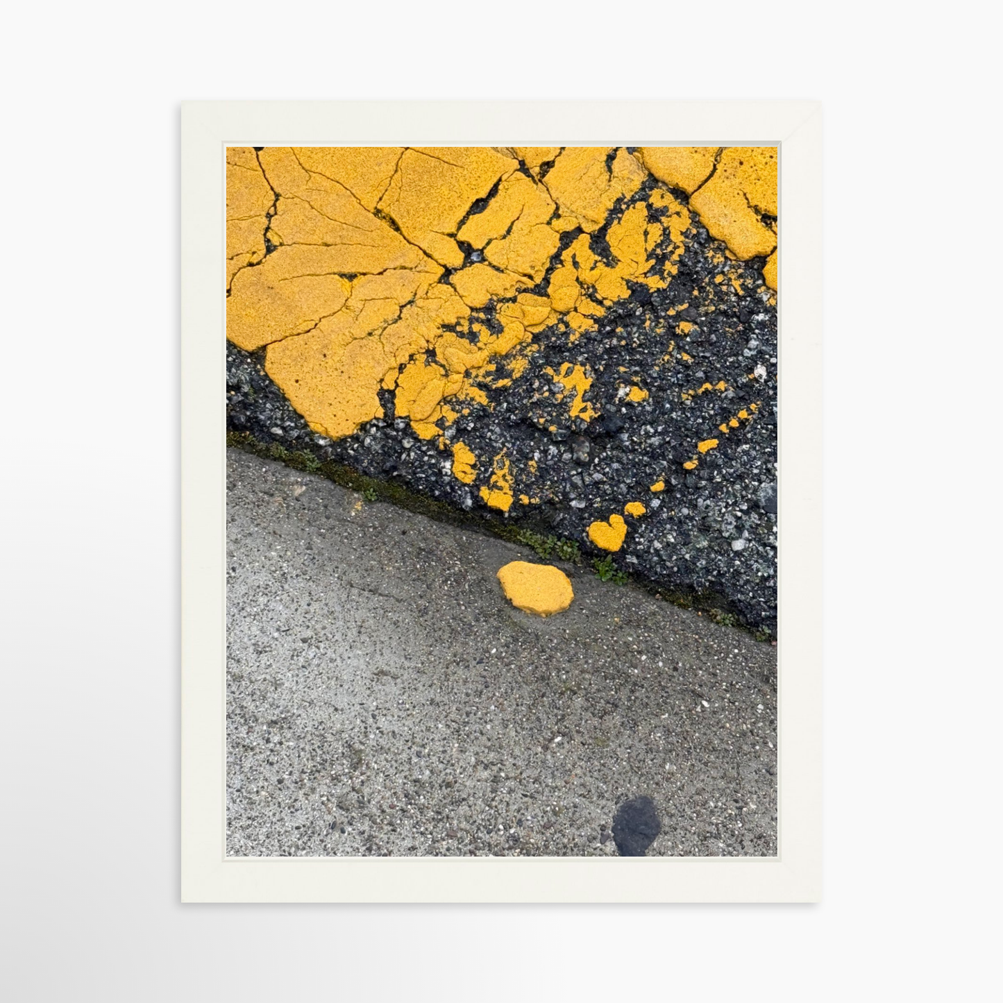 11" x 14" / White / No Mat