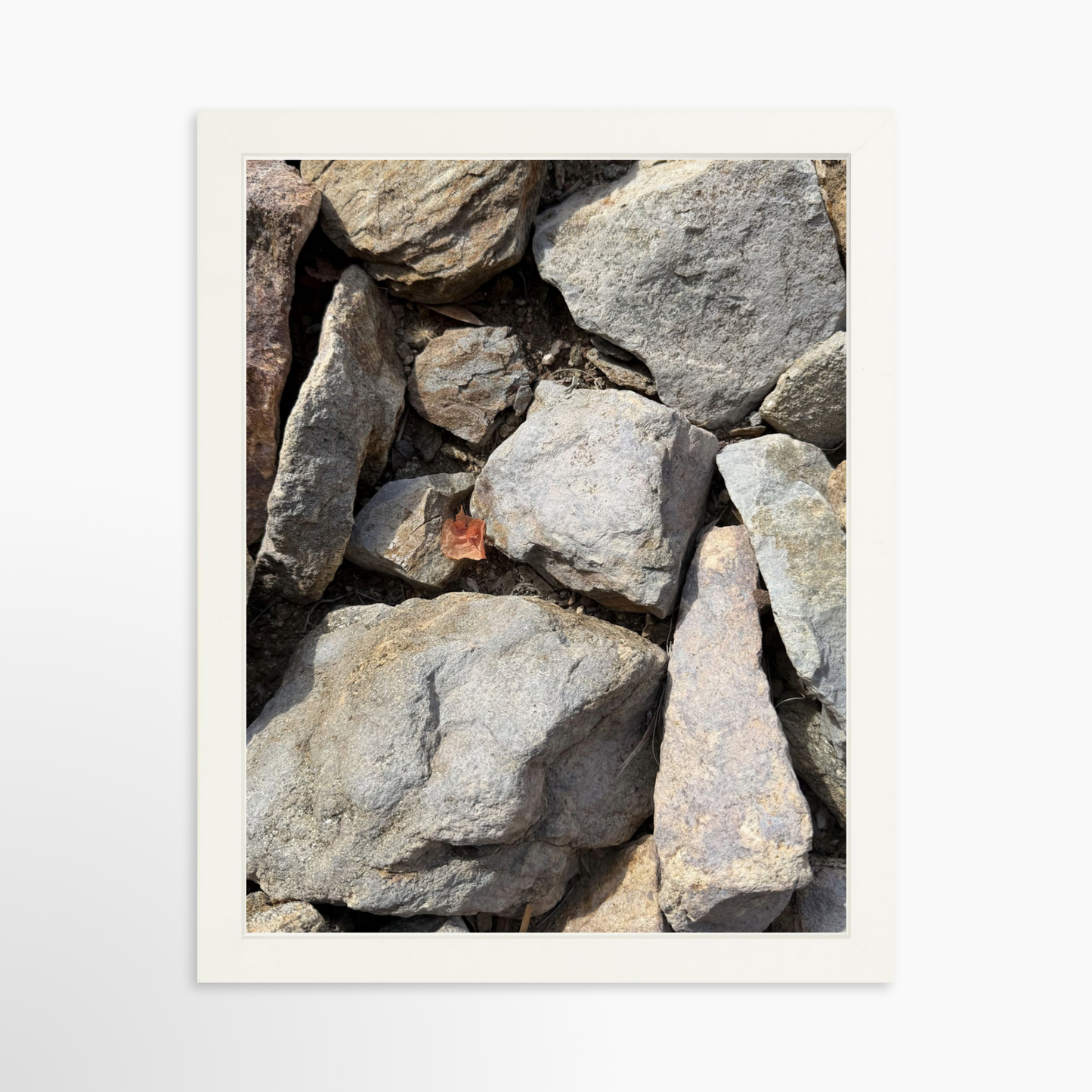 11" x 14" / White / No Mat