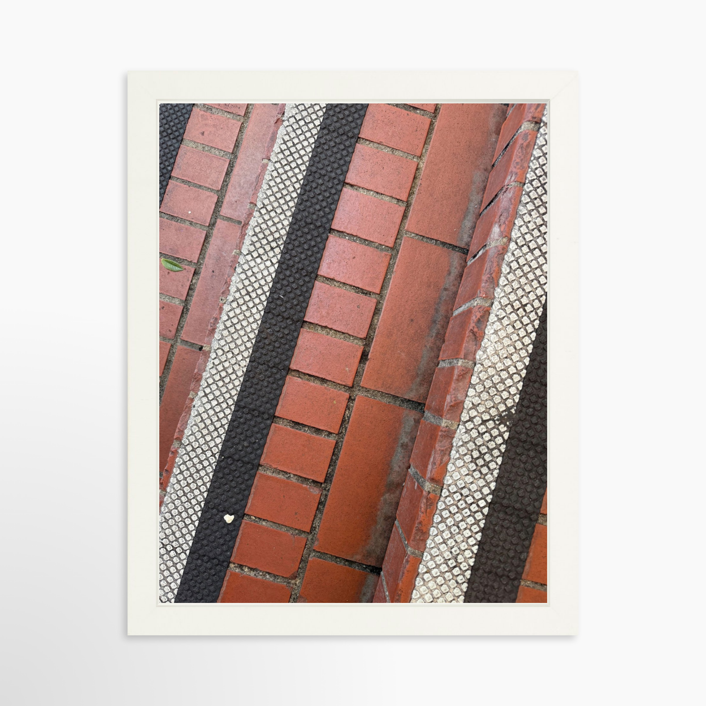 11" x 14" / White / No Mat