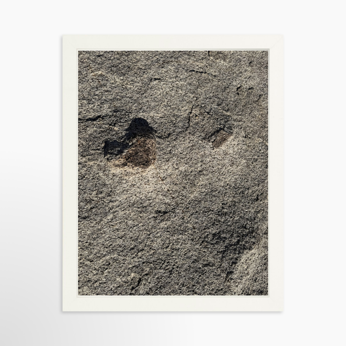 11" x 14" / White / No Mat