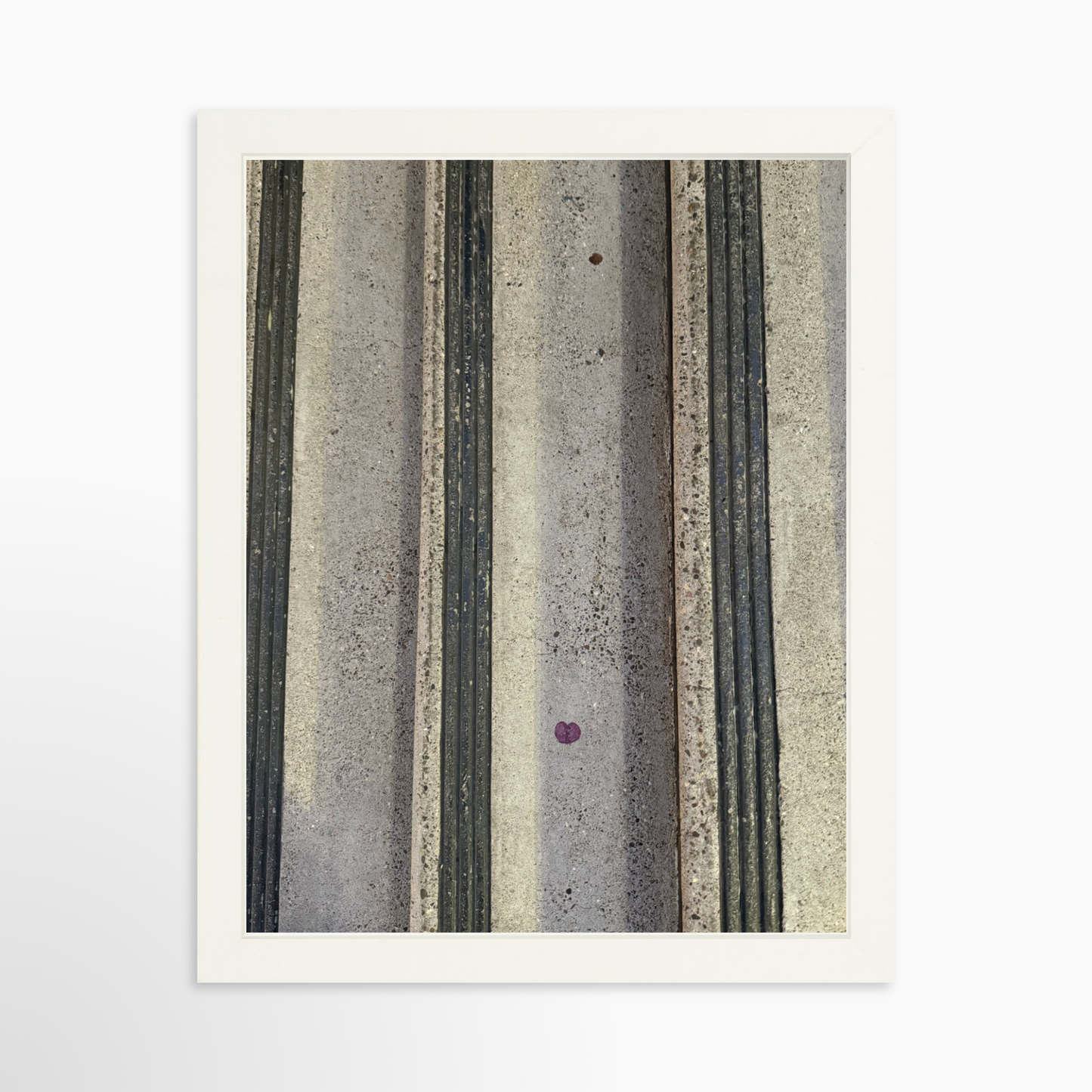 11" x 14" / White / No Mat