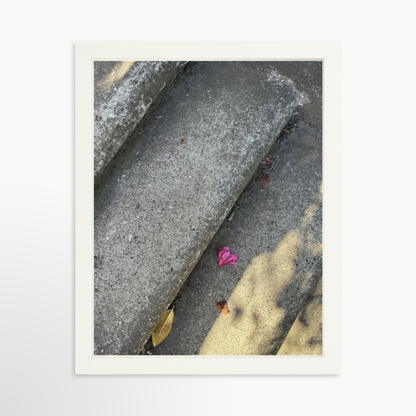 11" x 14" / White / No Mat