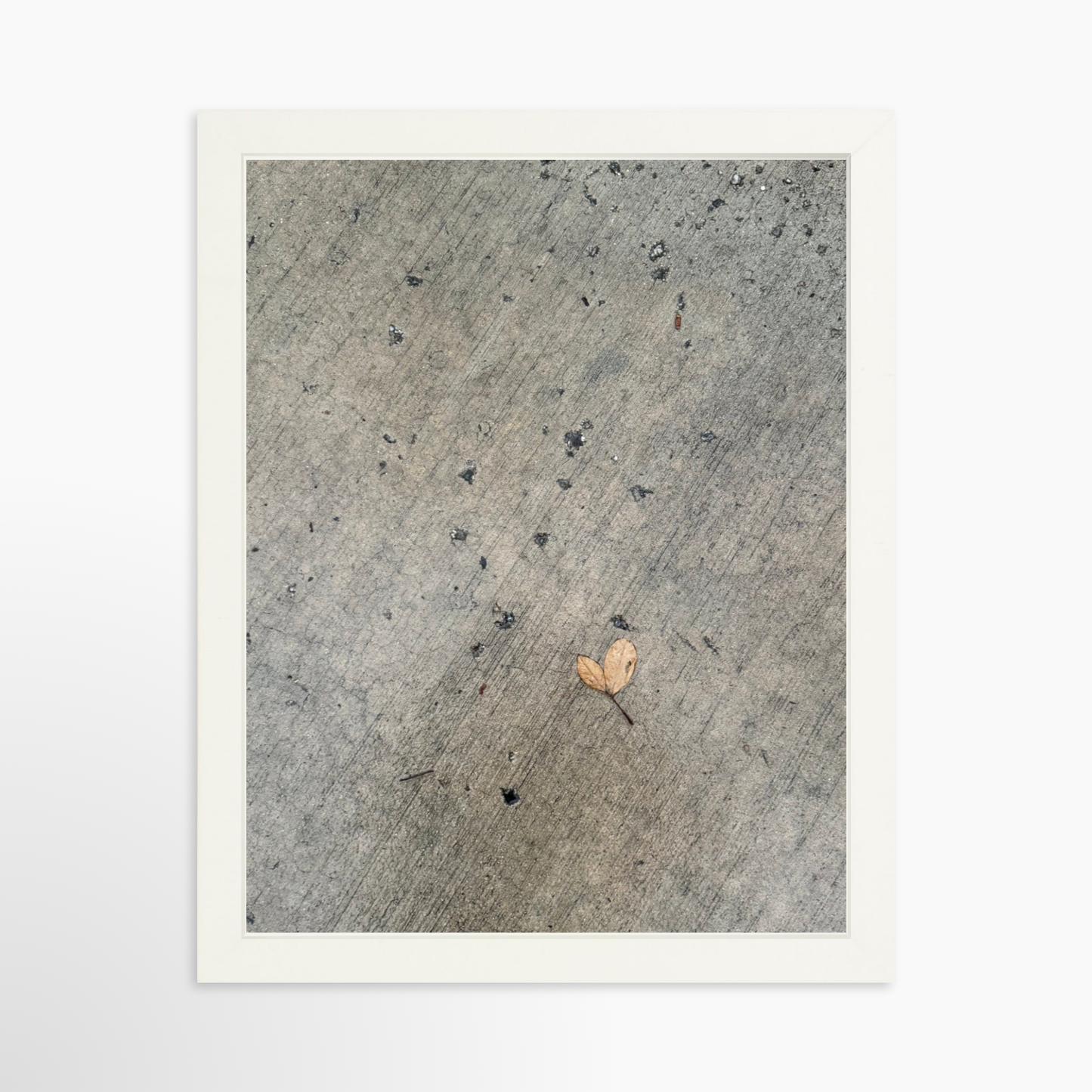 11" x 14" / White / No Mat